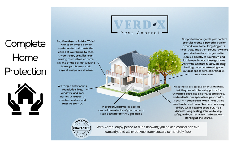 Verdx Pest Control | Residential & Commercial Pest Solutions