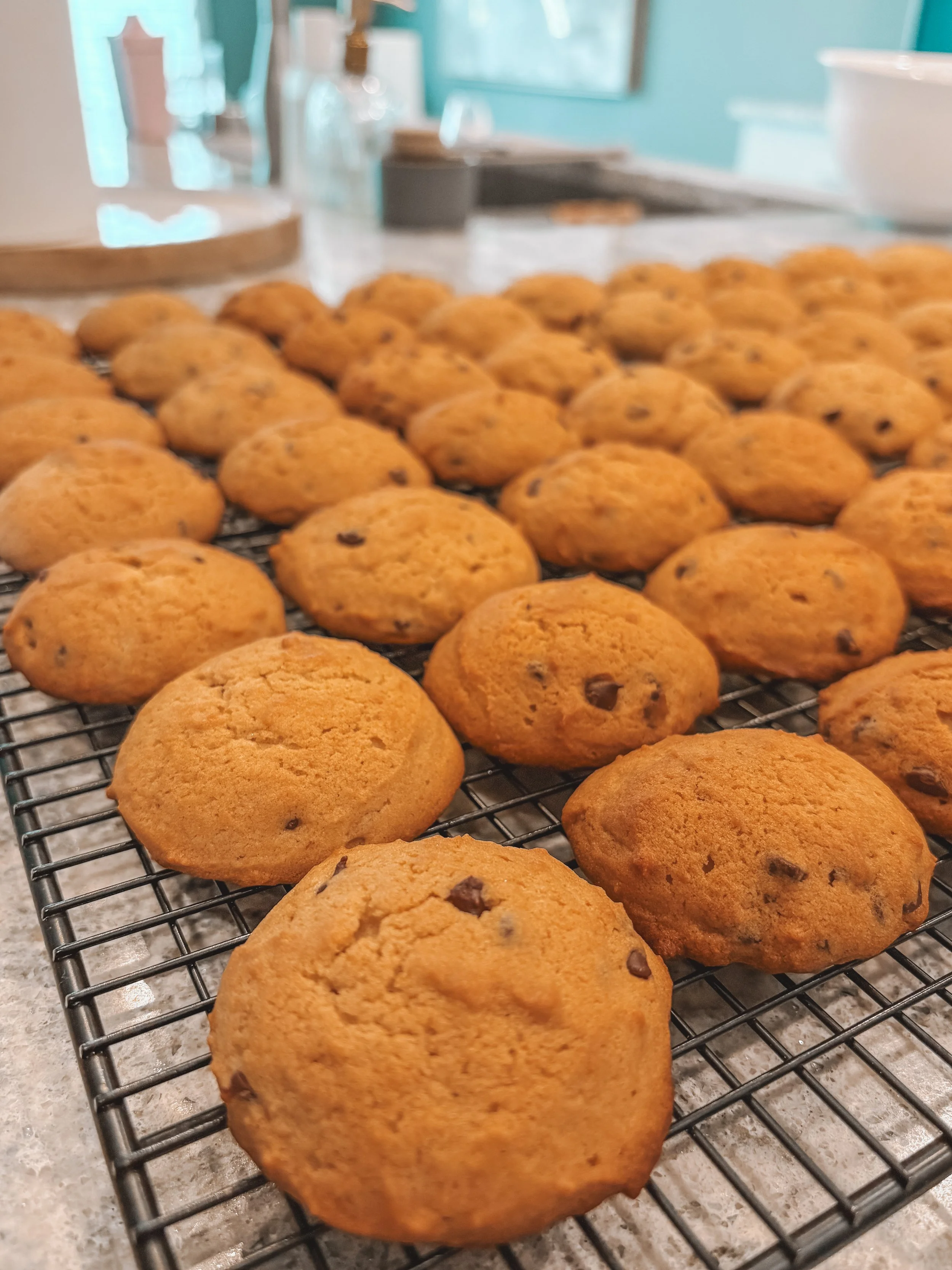 Chewy Sourdough Chocolate Chip Cookies You’ll Make on Repeat