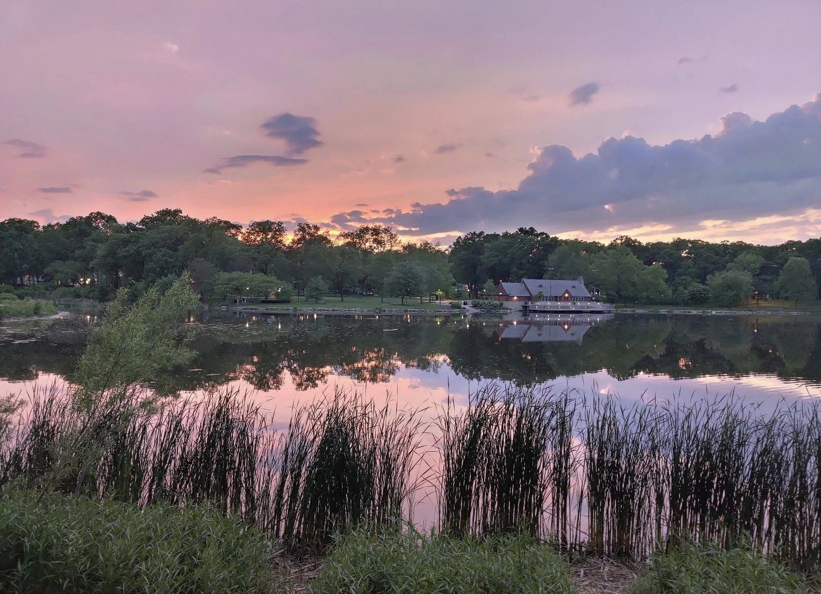 Wine Wednesday at Lake Ellyn: Spring Arrangements (BYOB) 🍷🌸