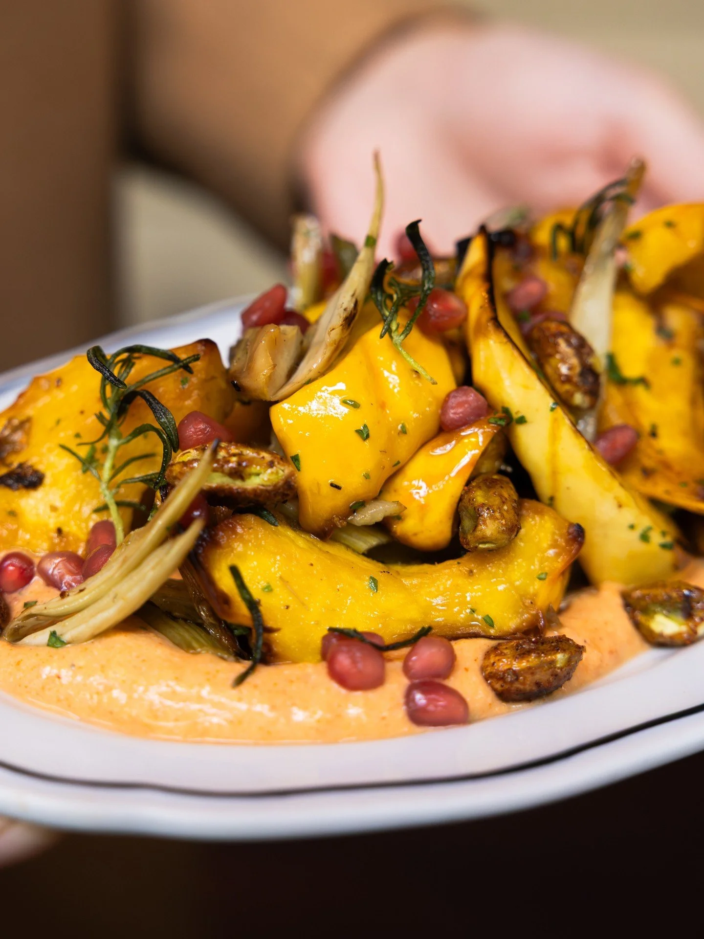 Highlighting some of the season&rsquo;s best produce. 🤩 Our Delicata &amp; Pimento Ricotta features caramelized fennel, pickled pomegranate, fried herbs, and chile-spiced pistachios.⁠
⁠
#screendoorpdx #pdxfood #portlandfood #travelportland #explorep