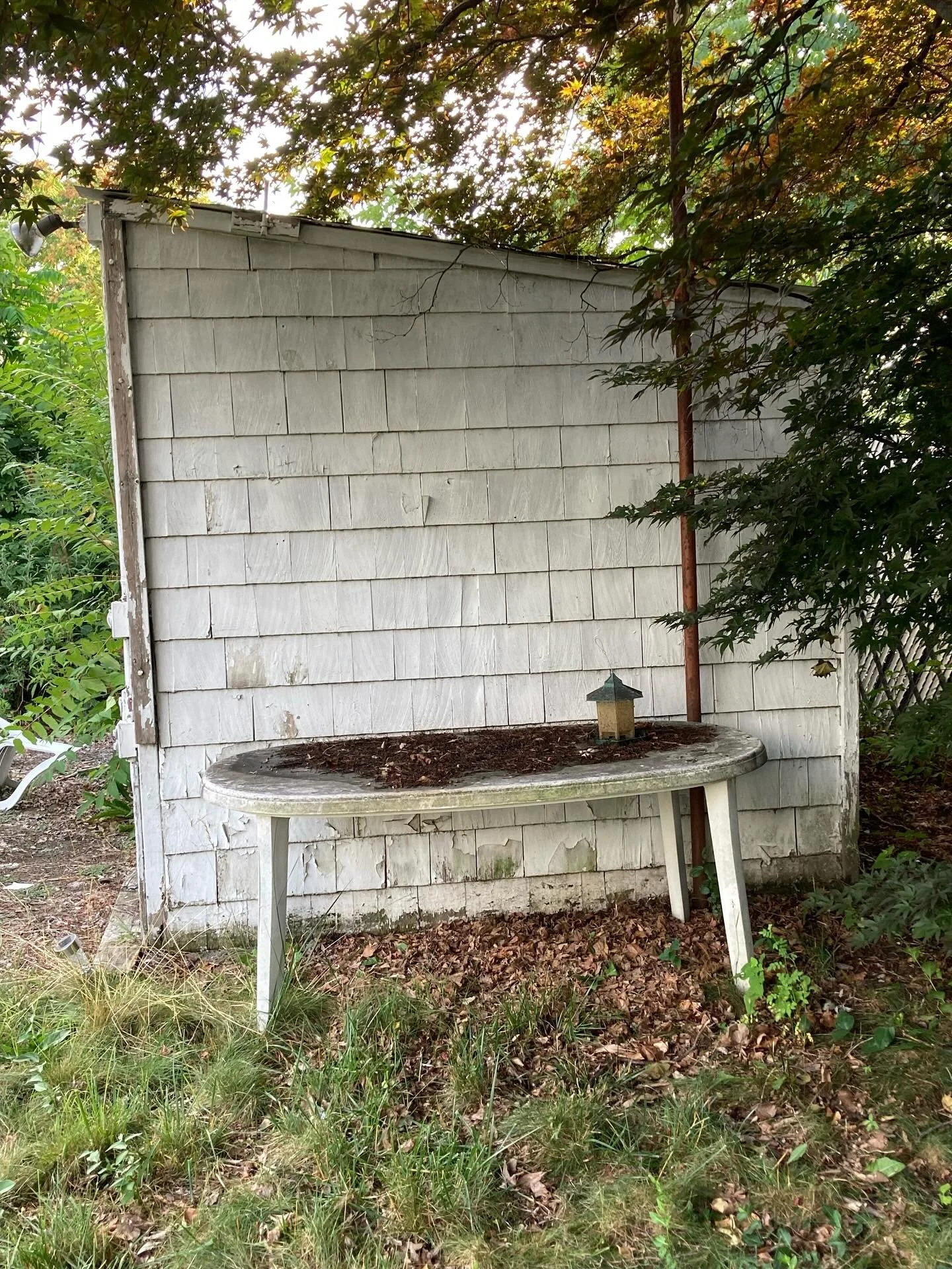 Shed and debris removal in Malden, MA💪

Helped these homeowners reclaim their backyard for future projects!!!

Contact us for a free estimate for any demolition or landscaping projects💯💯

#demolition #shedremoval #beforeandafter