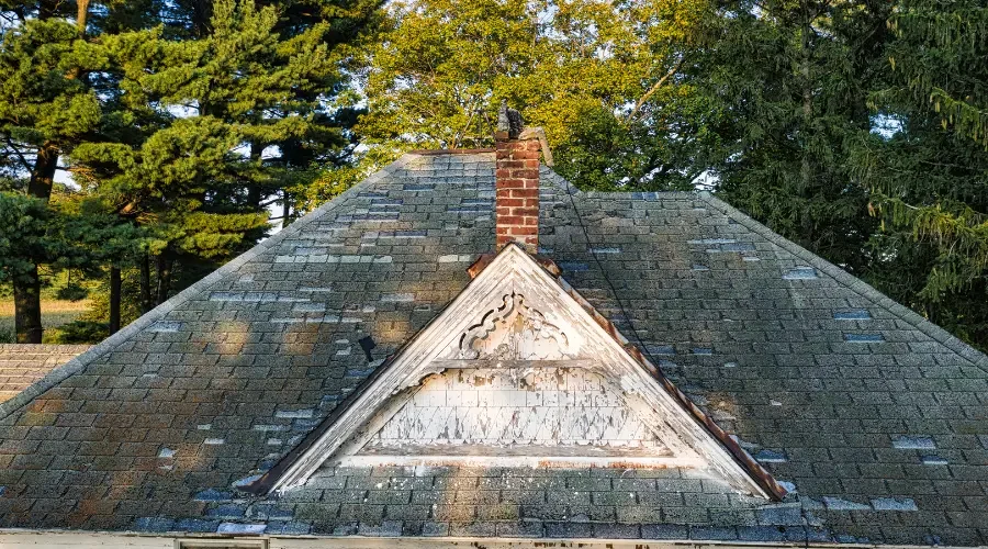 Does a 20-Year-Old Roof Need to Be Replaced_ What Little Egg Harbor Homeowners Should Know.webp