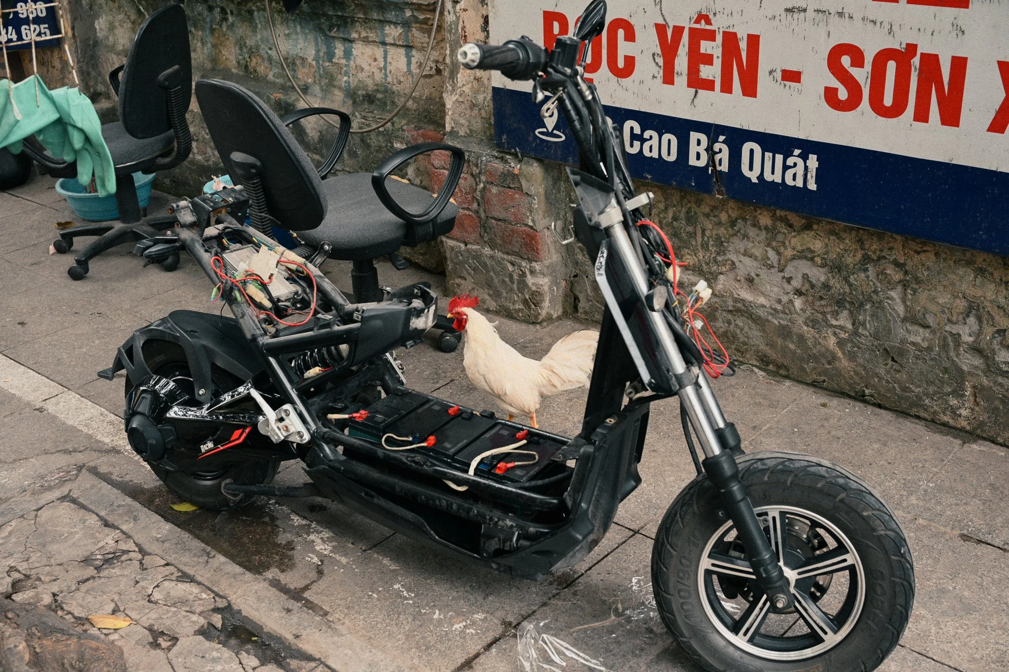 DSC_5019.jpg