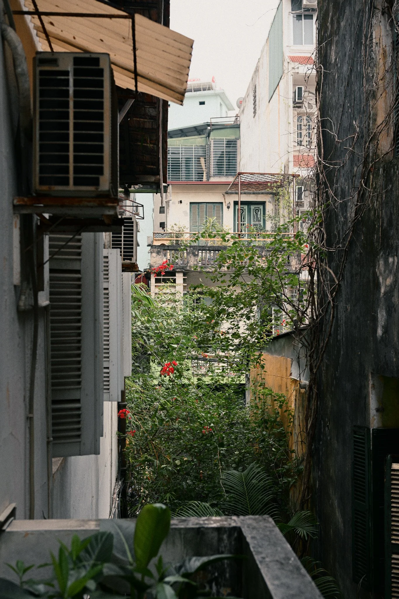DSC_5048.jpg