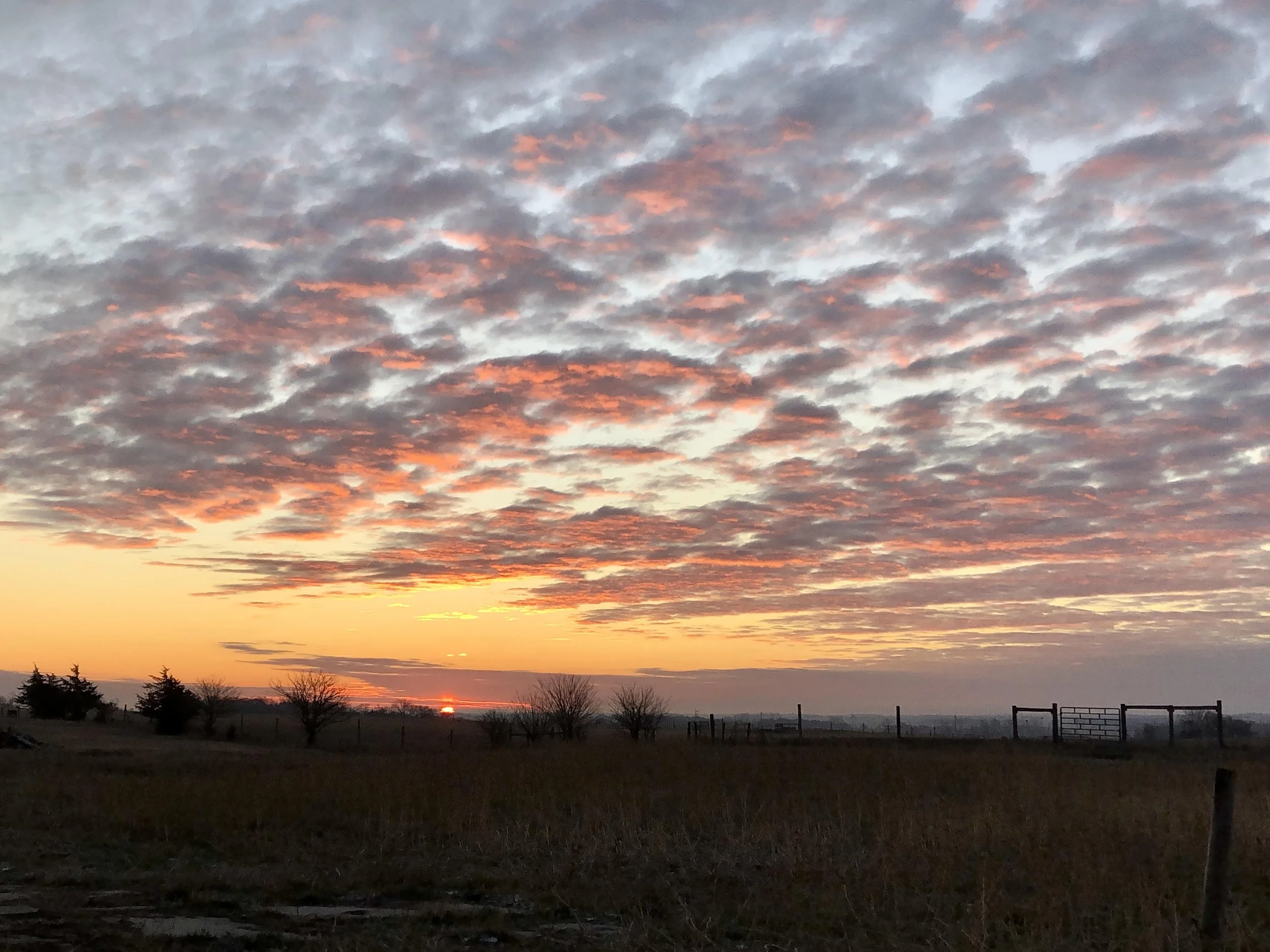 farm sunrise.jpg
