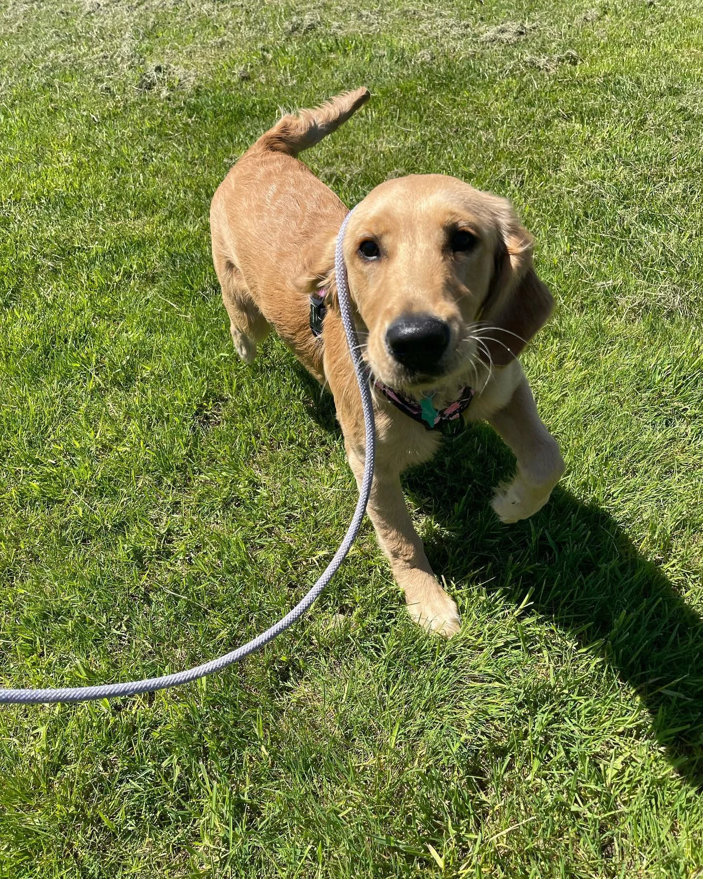 Soft summer launch 🌻☀️