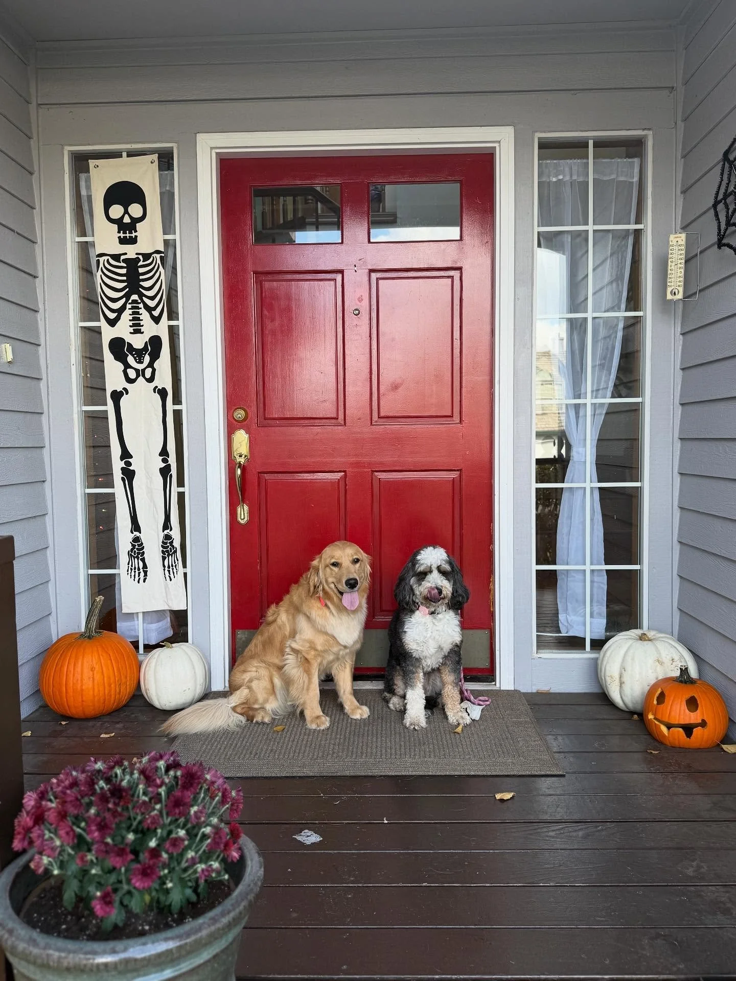 Spooky season is upon us!👻🎃( yes my skeleton is crooked, it&rsquo;s bothering me too don&rsquo;t worry)