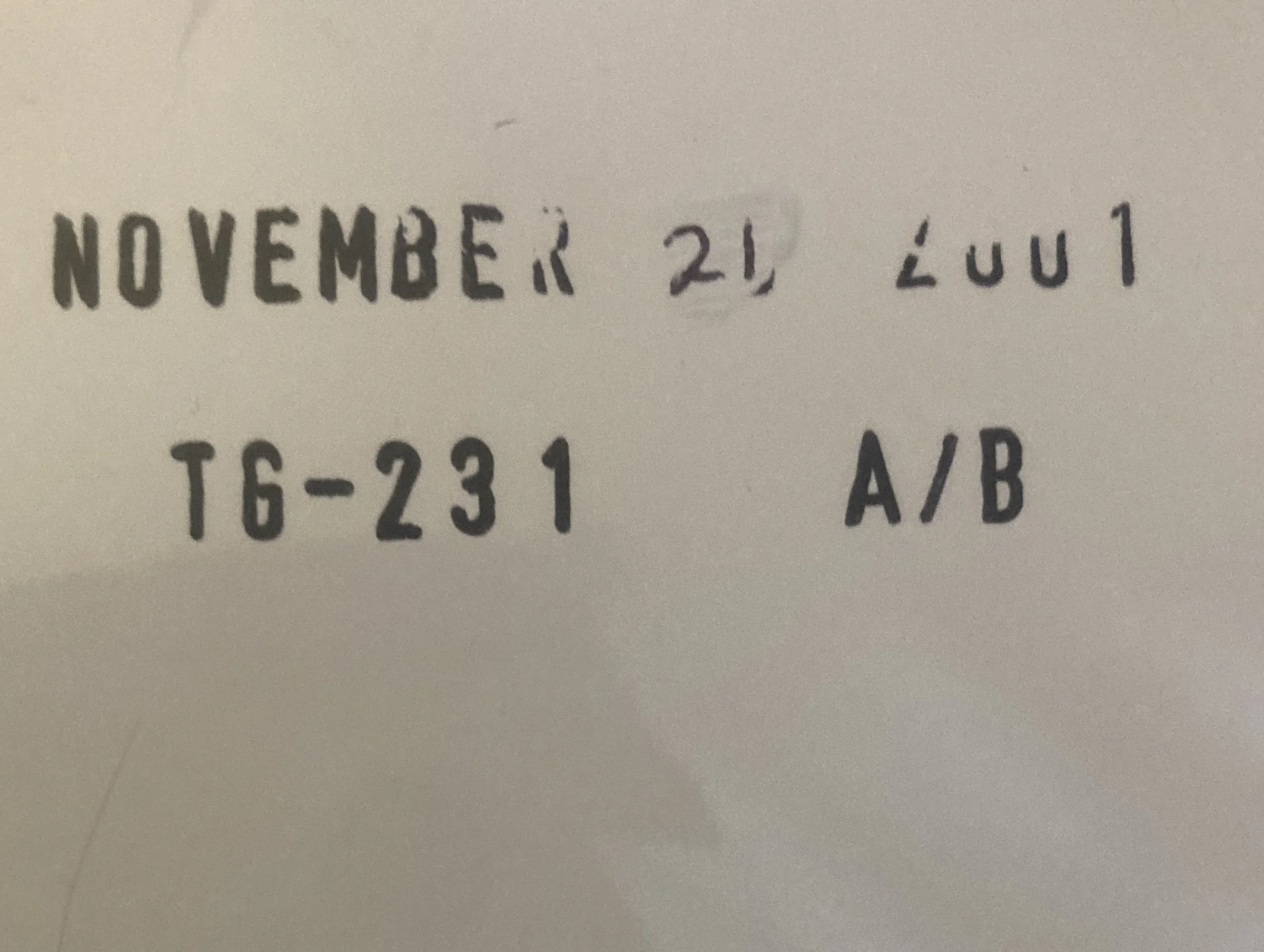 nina n blackened test.jpg