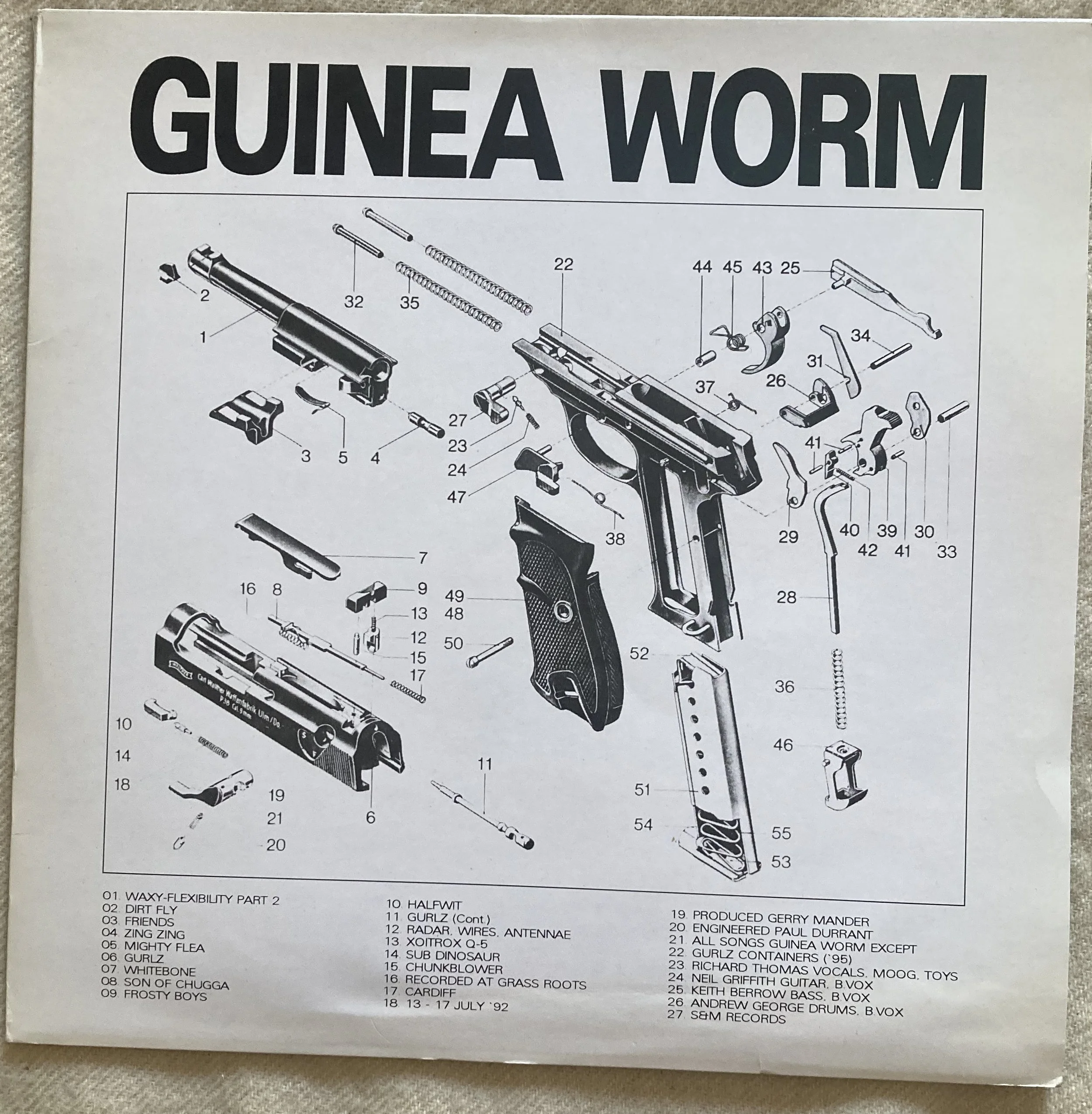 GUINEA WORM.jpg