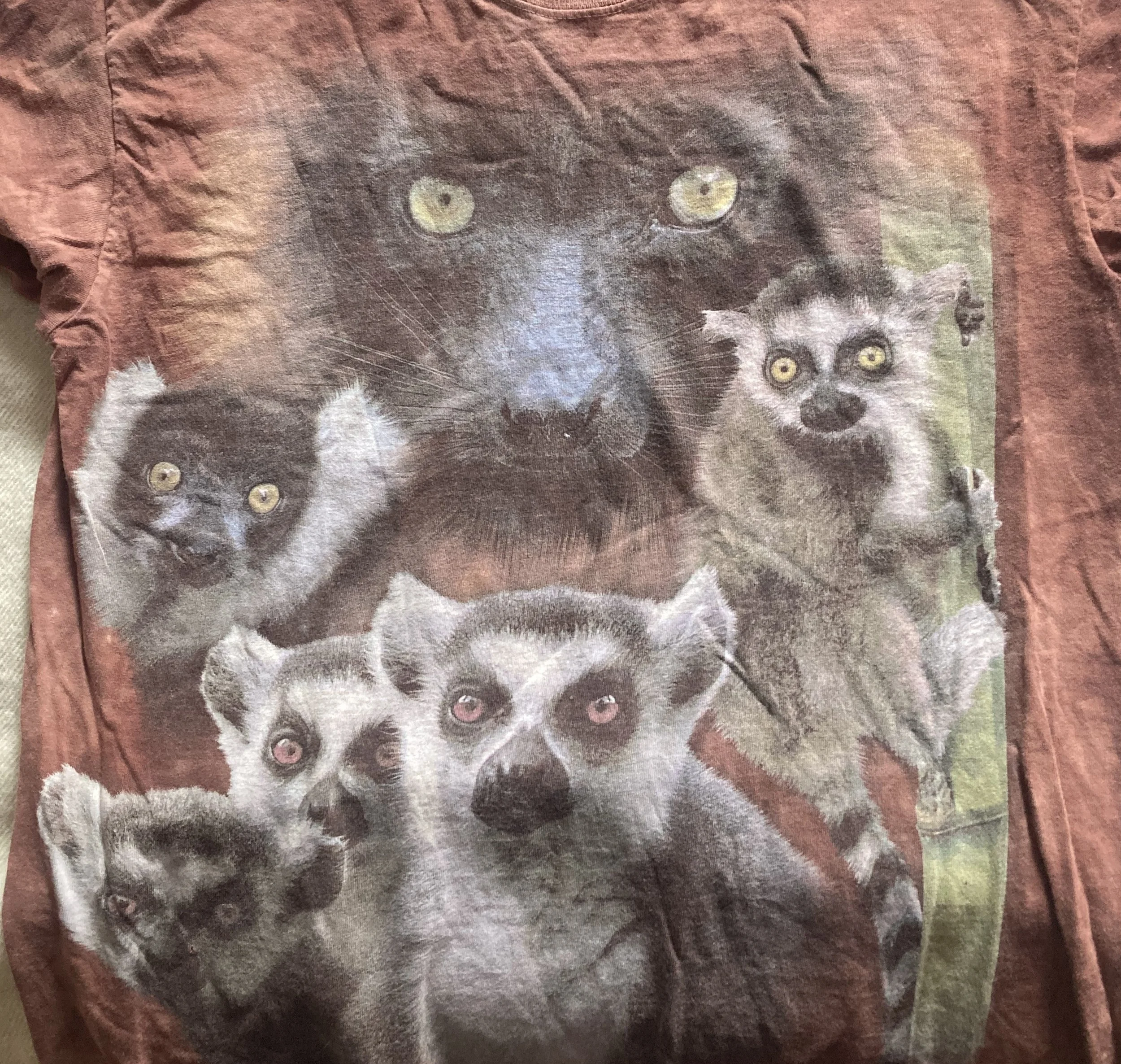 gas station lemurs.jpg