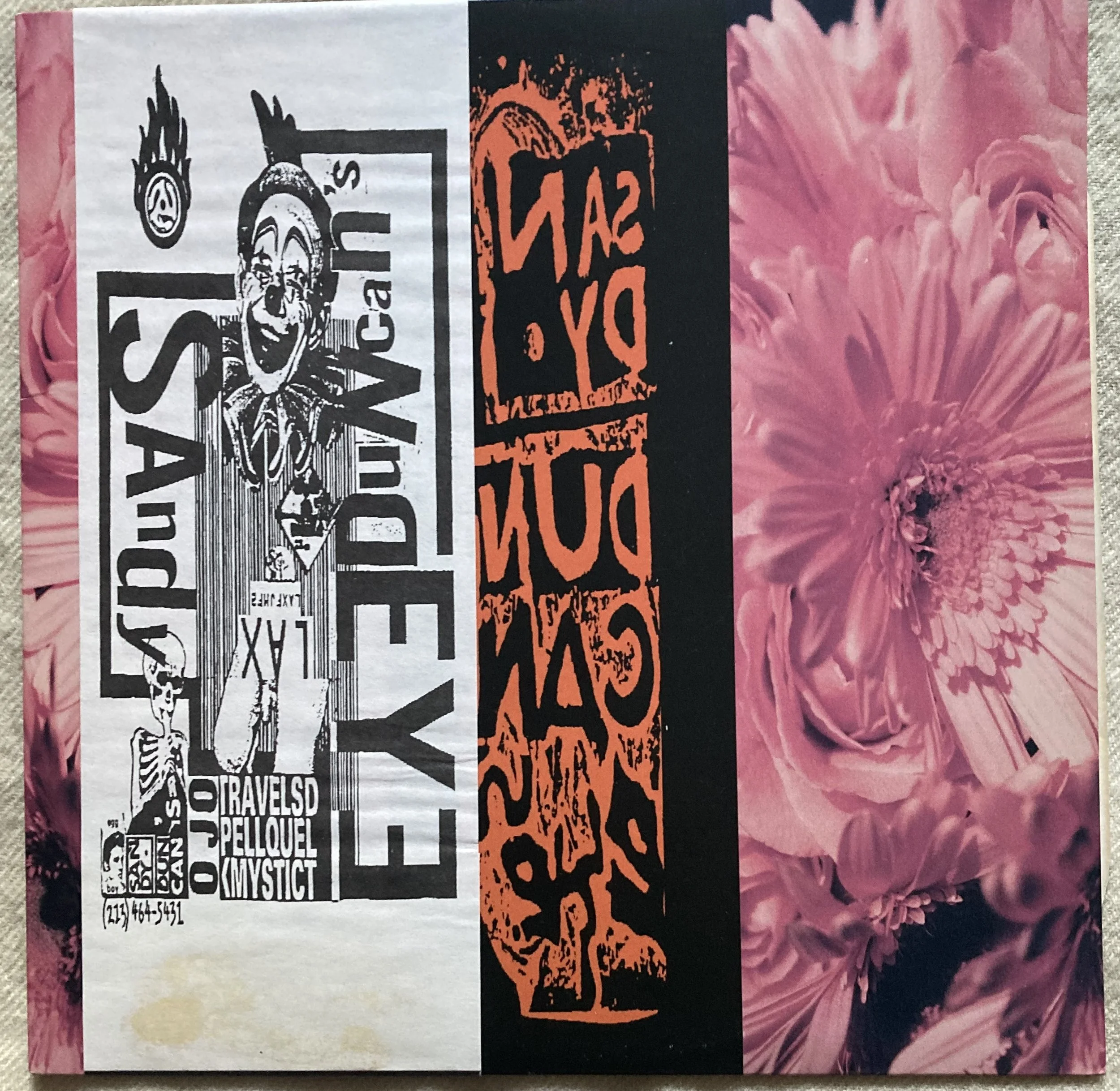 SANDY DUNCAN'S EYE.jpg