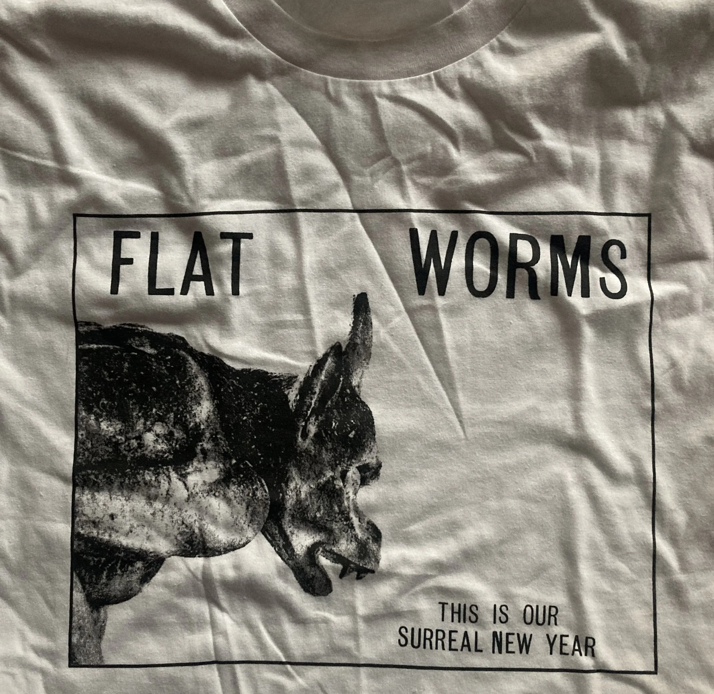 flat worms surreal ny.jpg