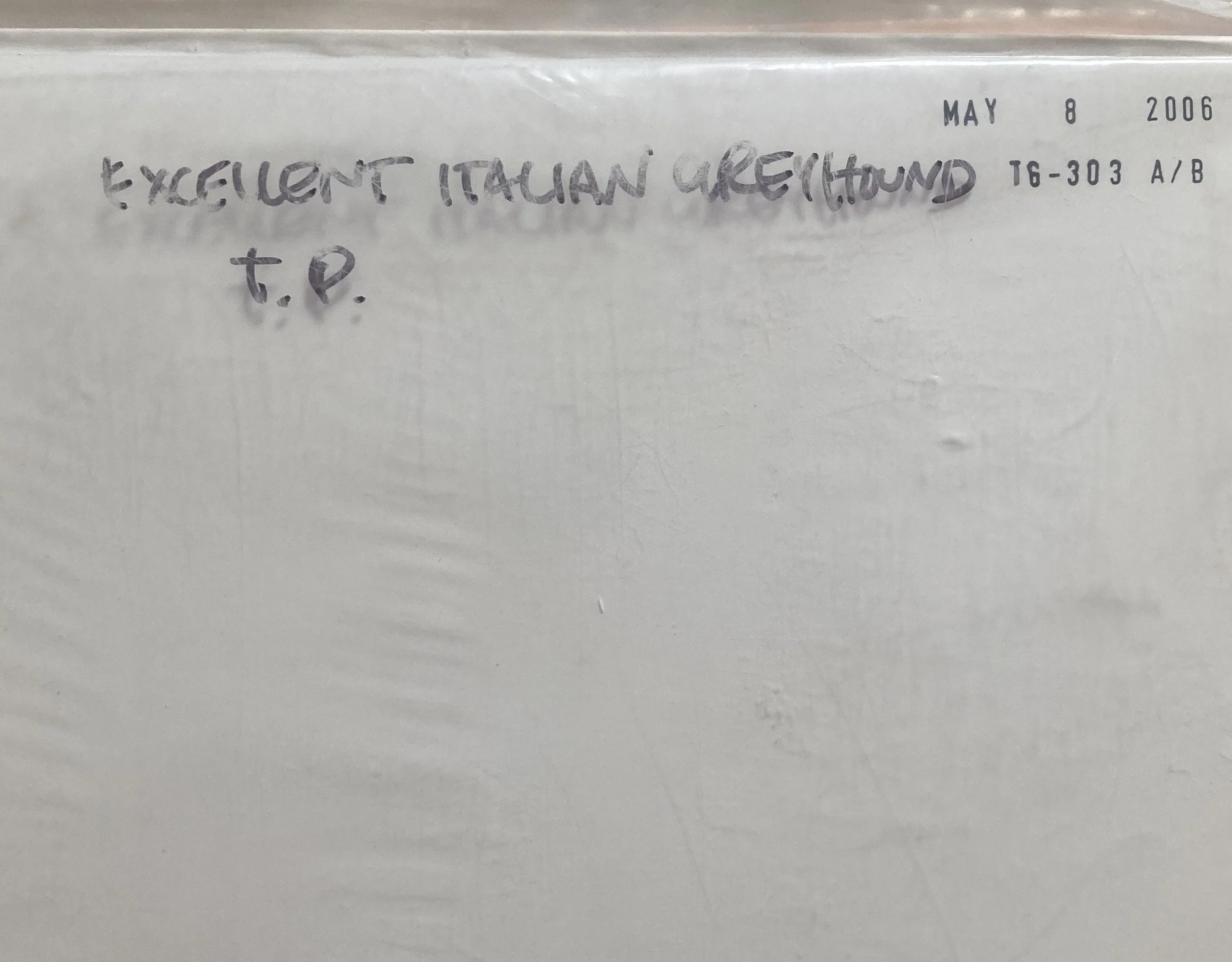 shellac greeyhound test.jpg