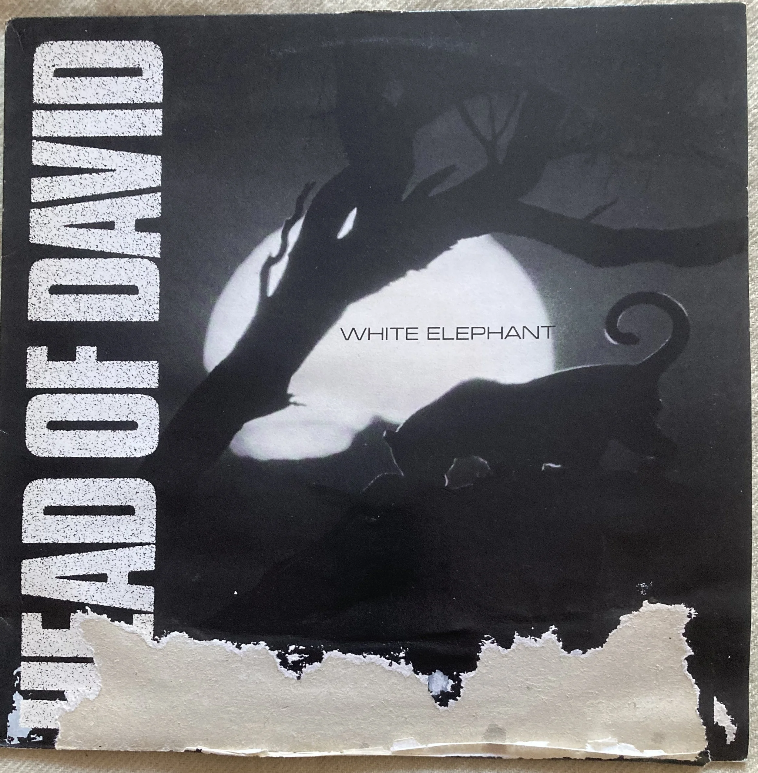 head of david white.jpg