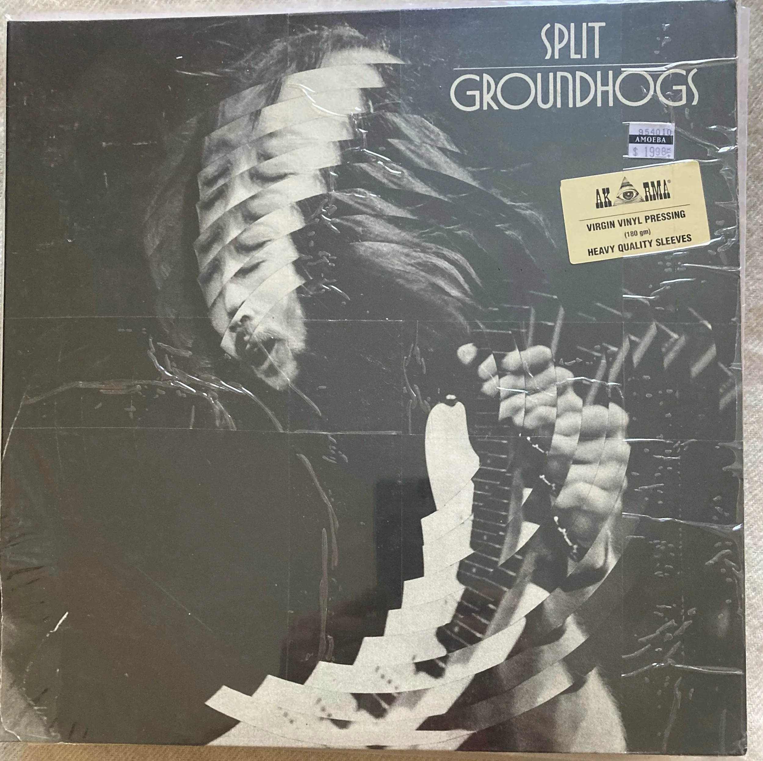 croundhogs split.jpg