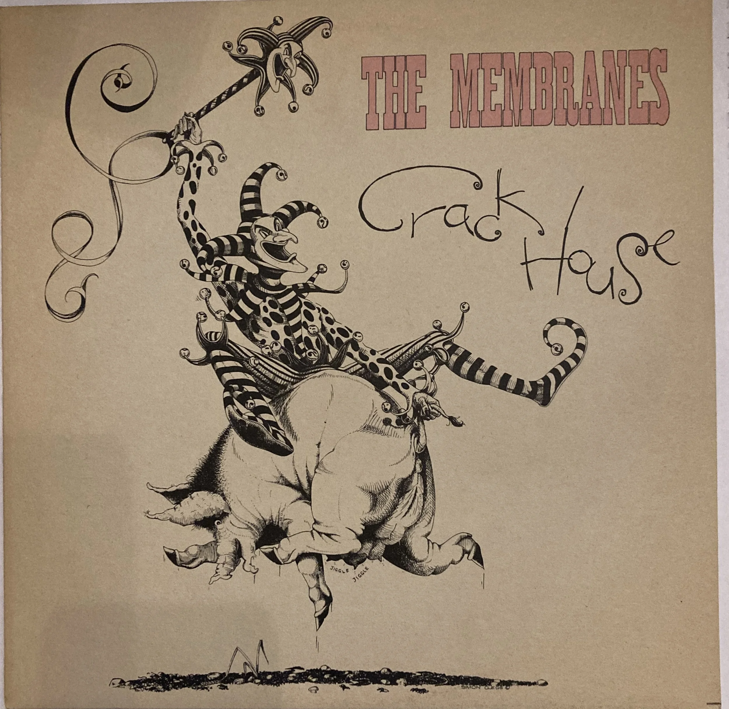 the membranes crack.jpg
