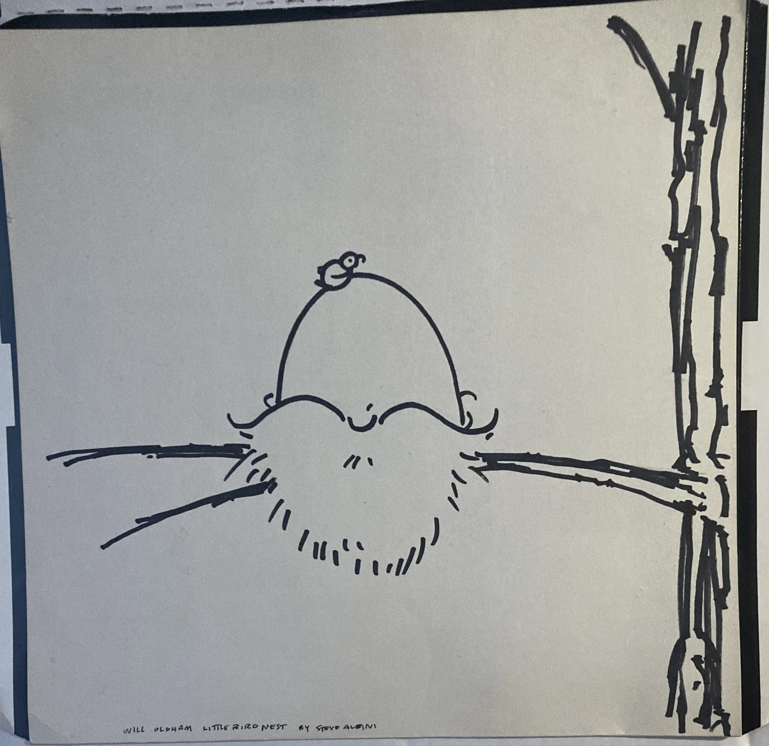 oldm=hman bird nest 2.jpg