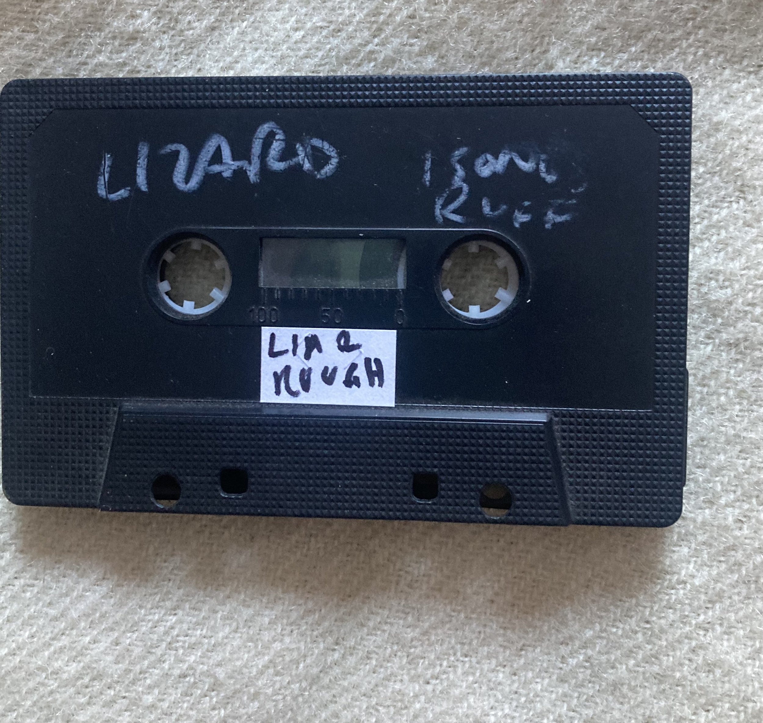 the jesus lizard liar rough.jpg