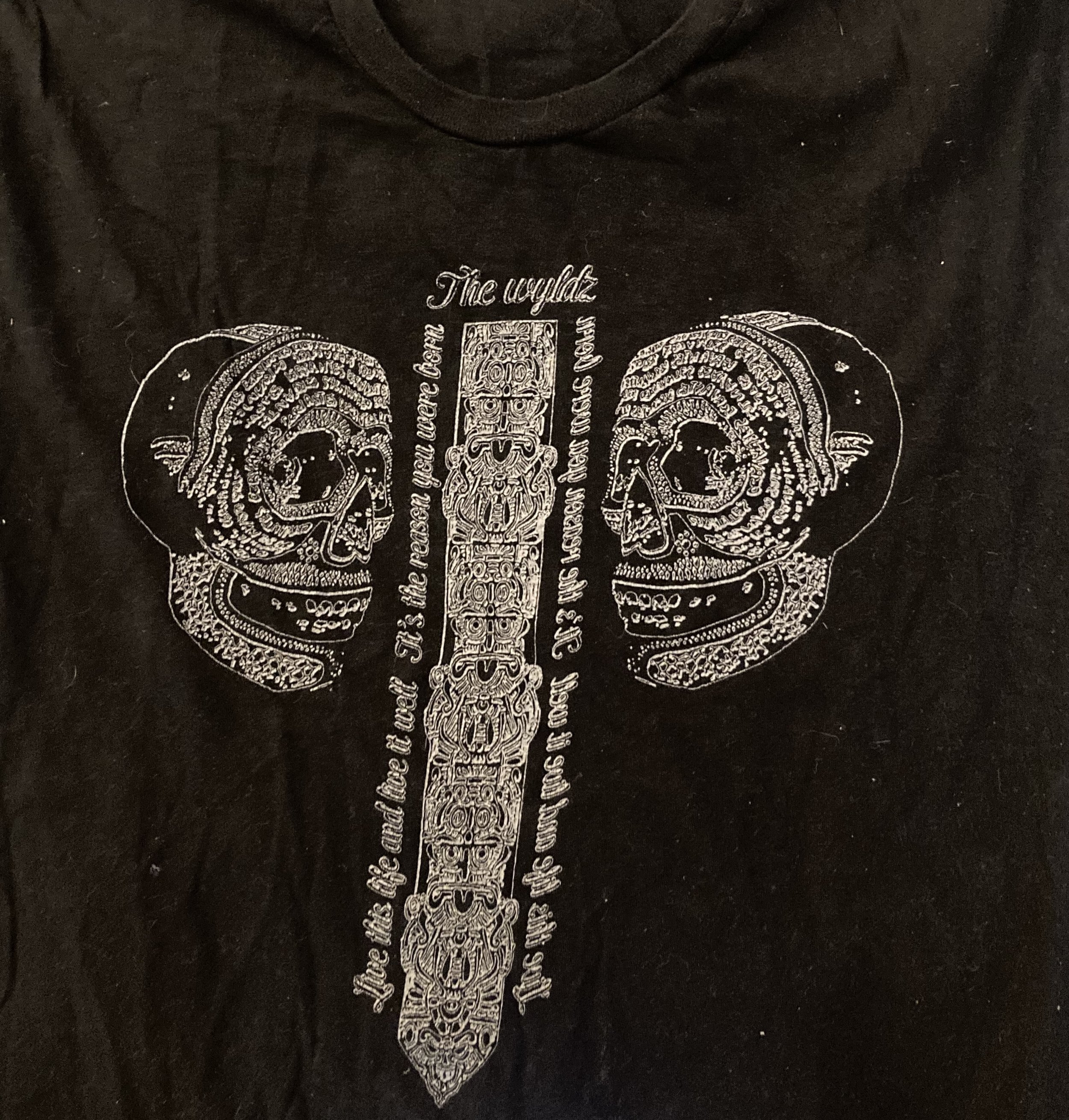 the wyldz.jpg