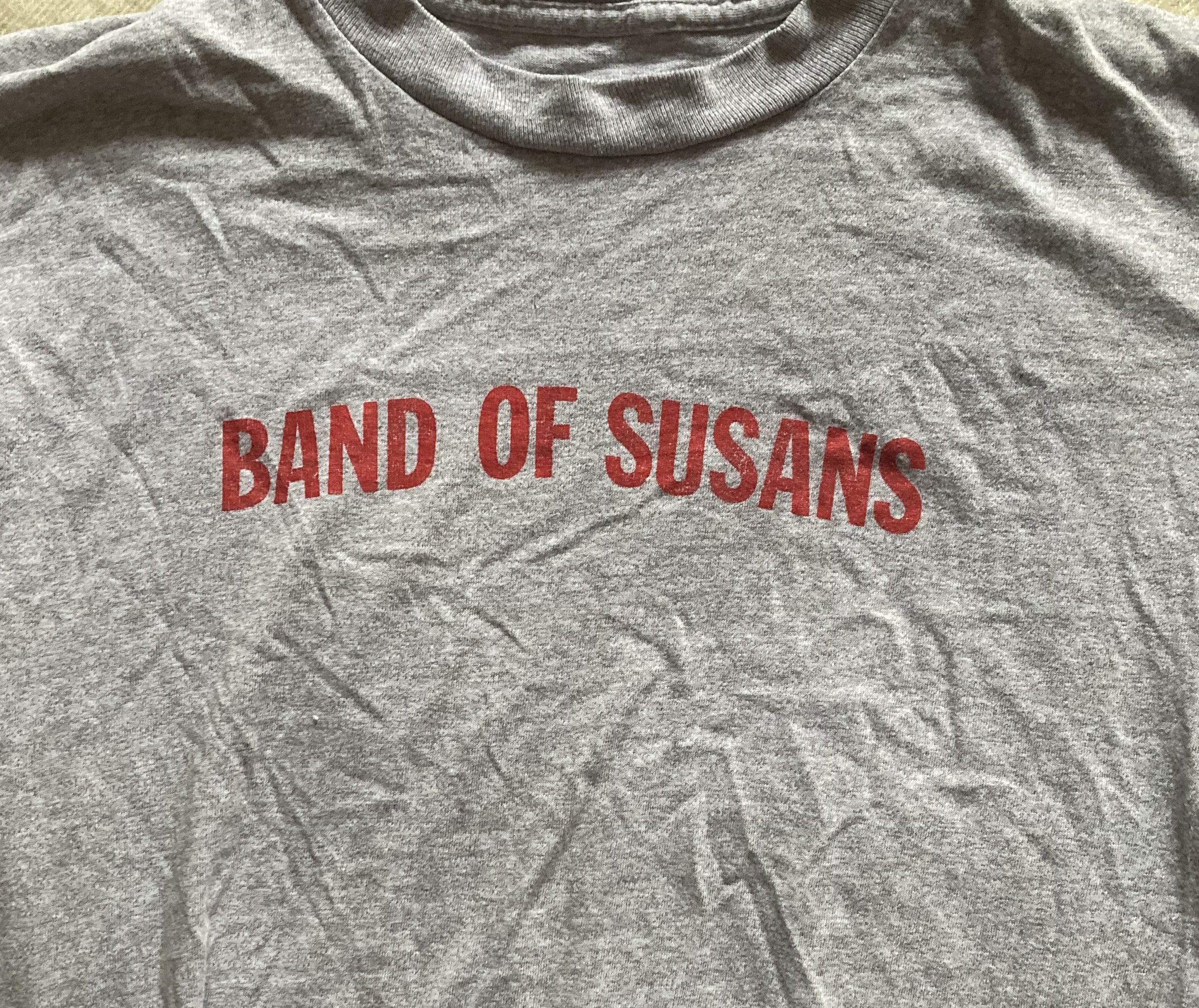 band of susans 1.jpg