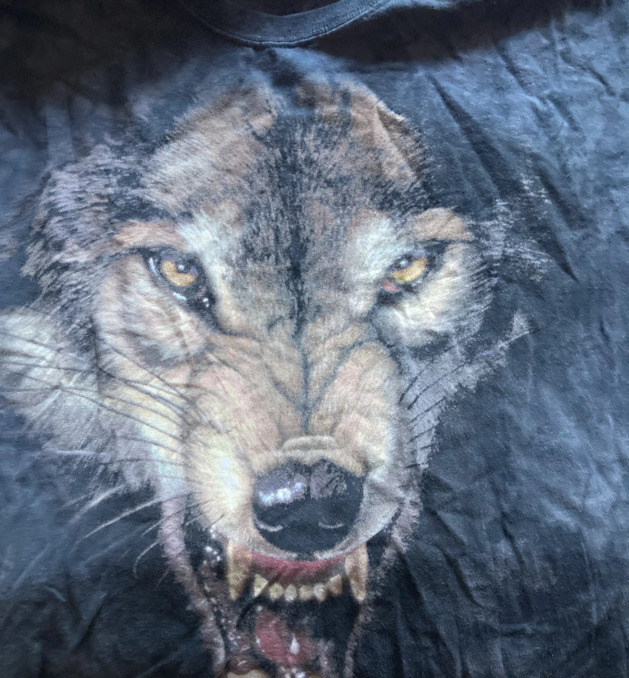 gas statiomn wolf gnarl.jpg