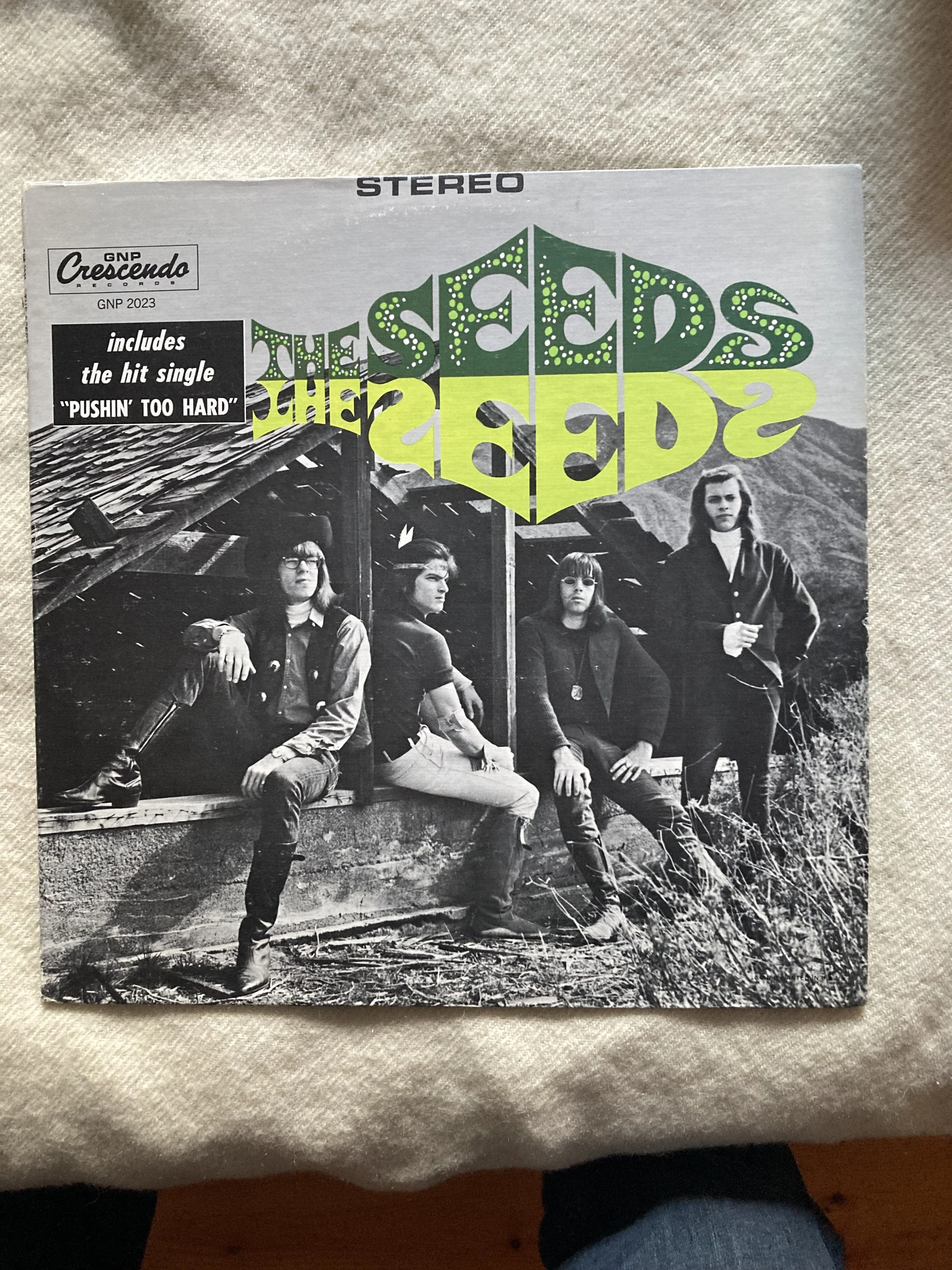 THE SEEDS ST.jpg