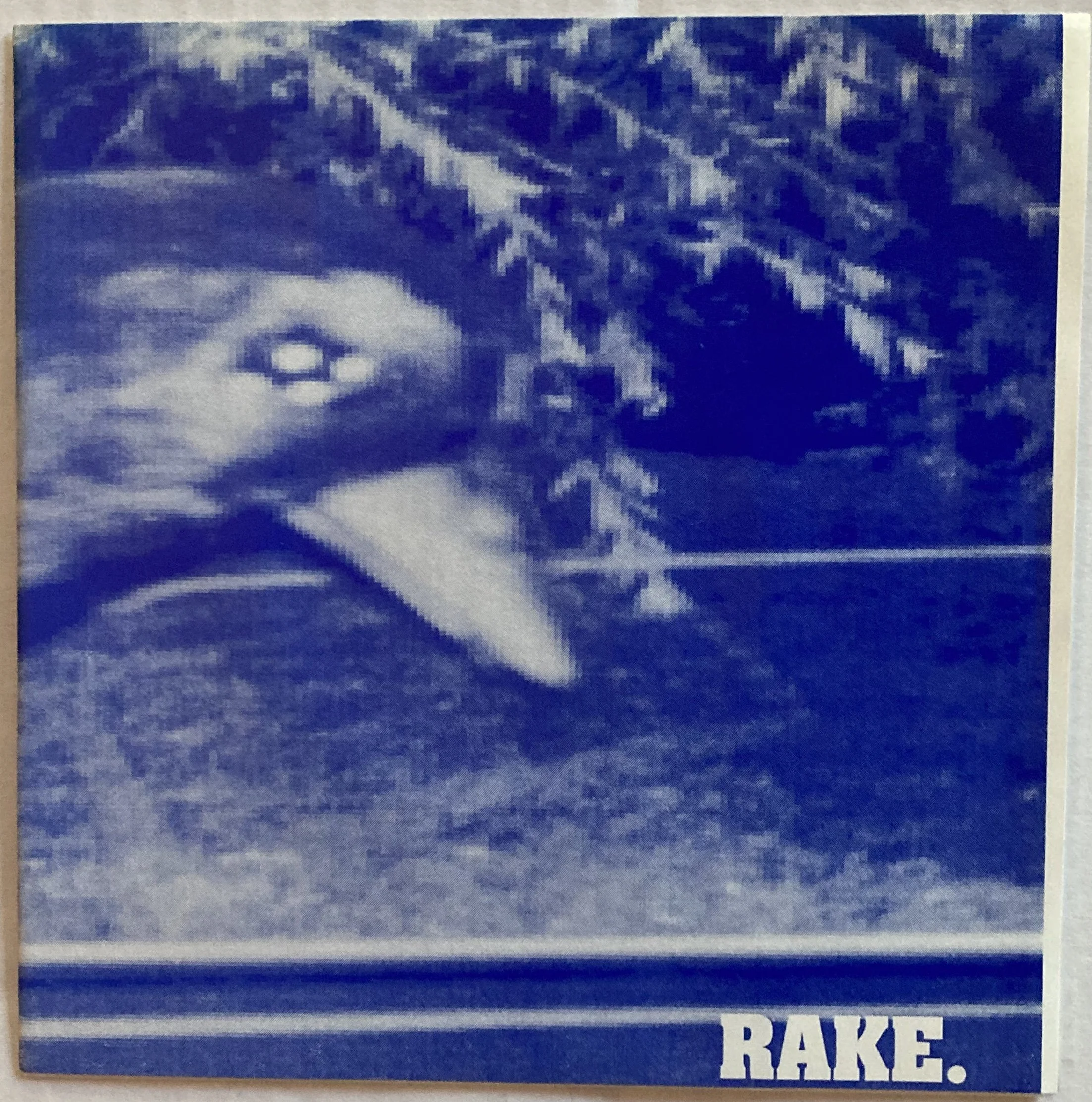 rake 4d.jpg