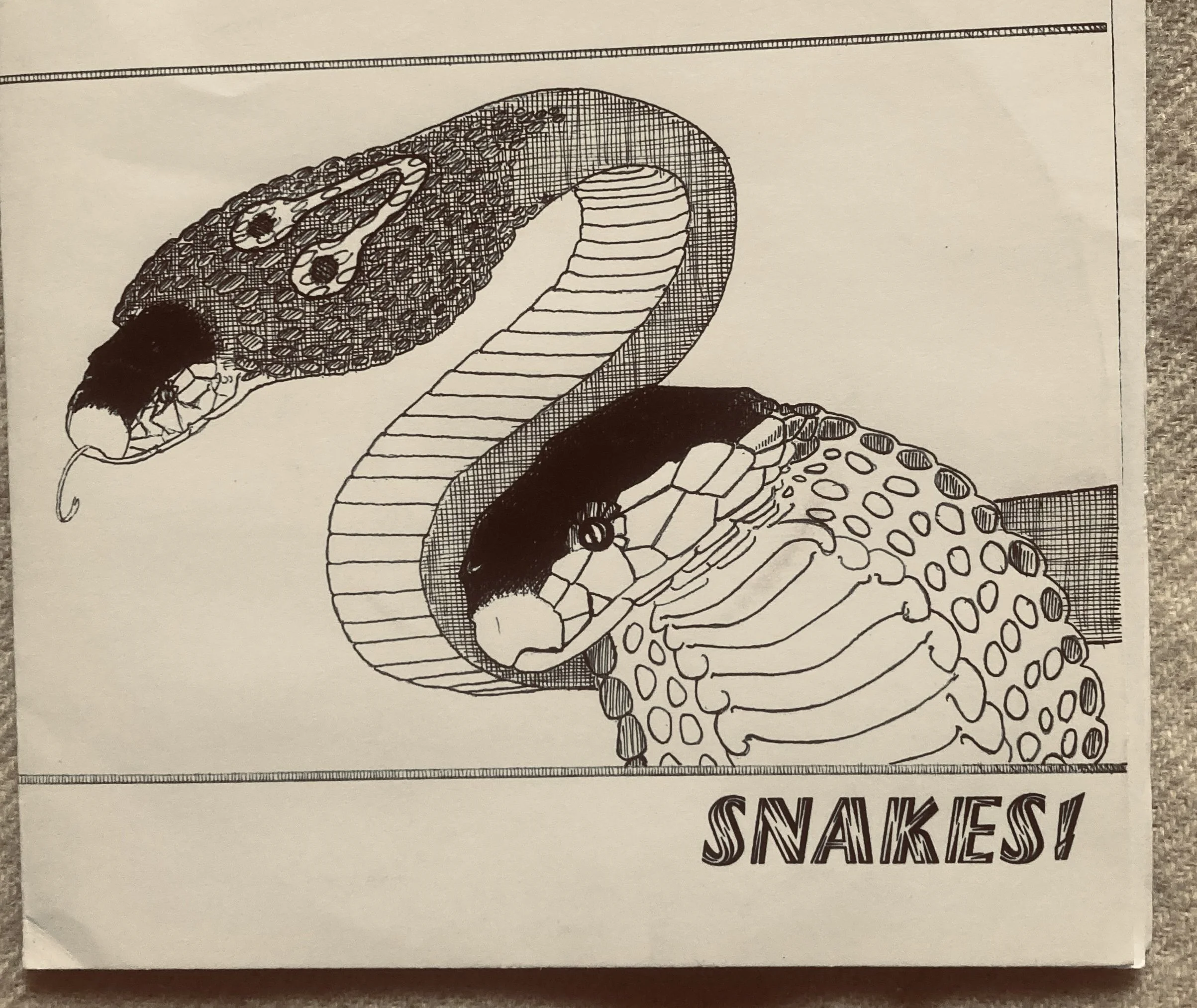 snakes!.jpg
