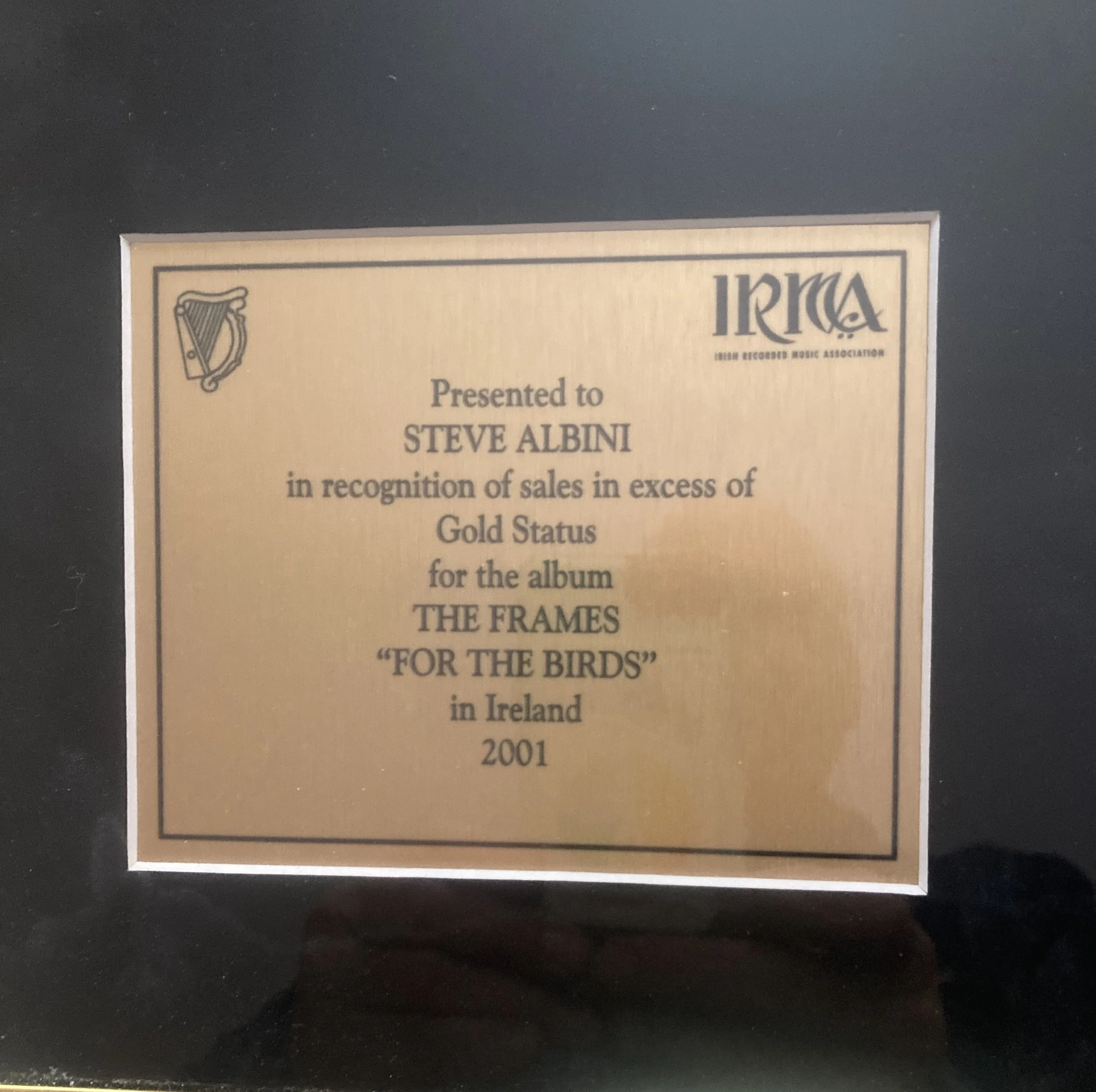 frames gold disc 2.jpg