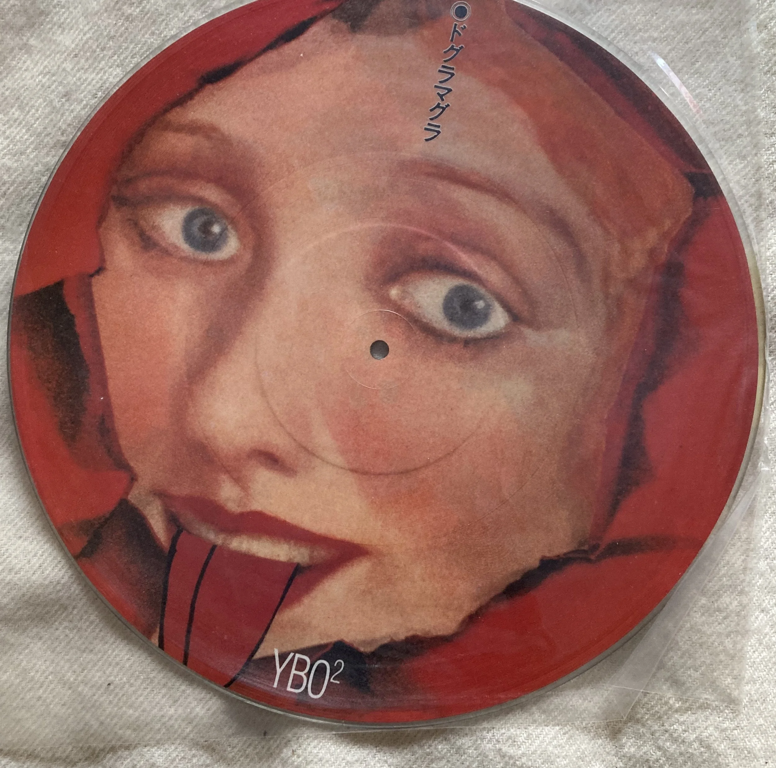 ybo 2 dog pic disk.jpg