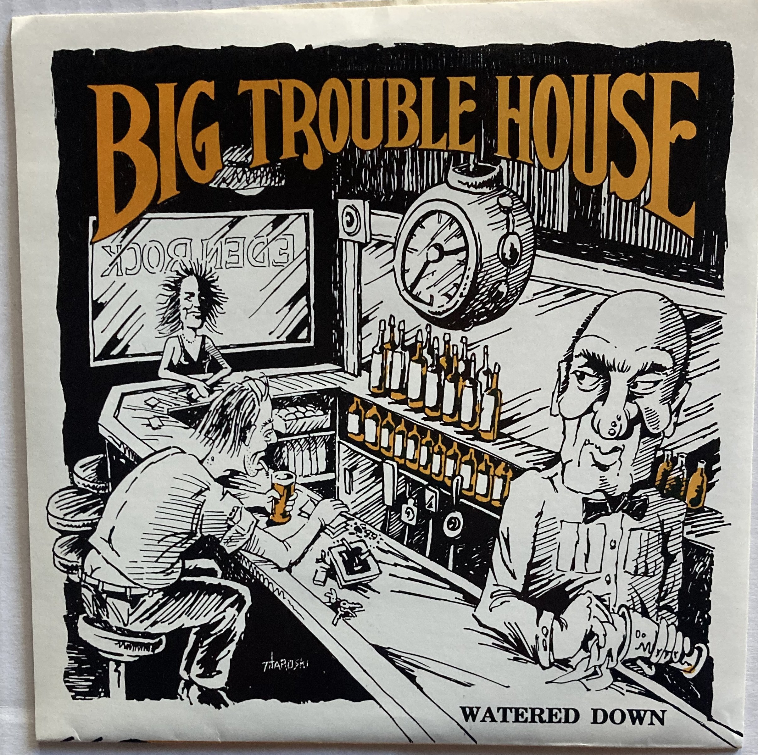 big troiuble house watered.jpg