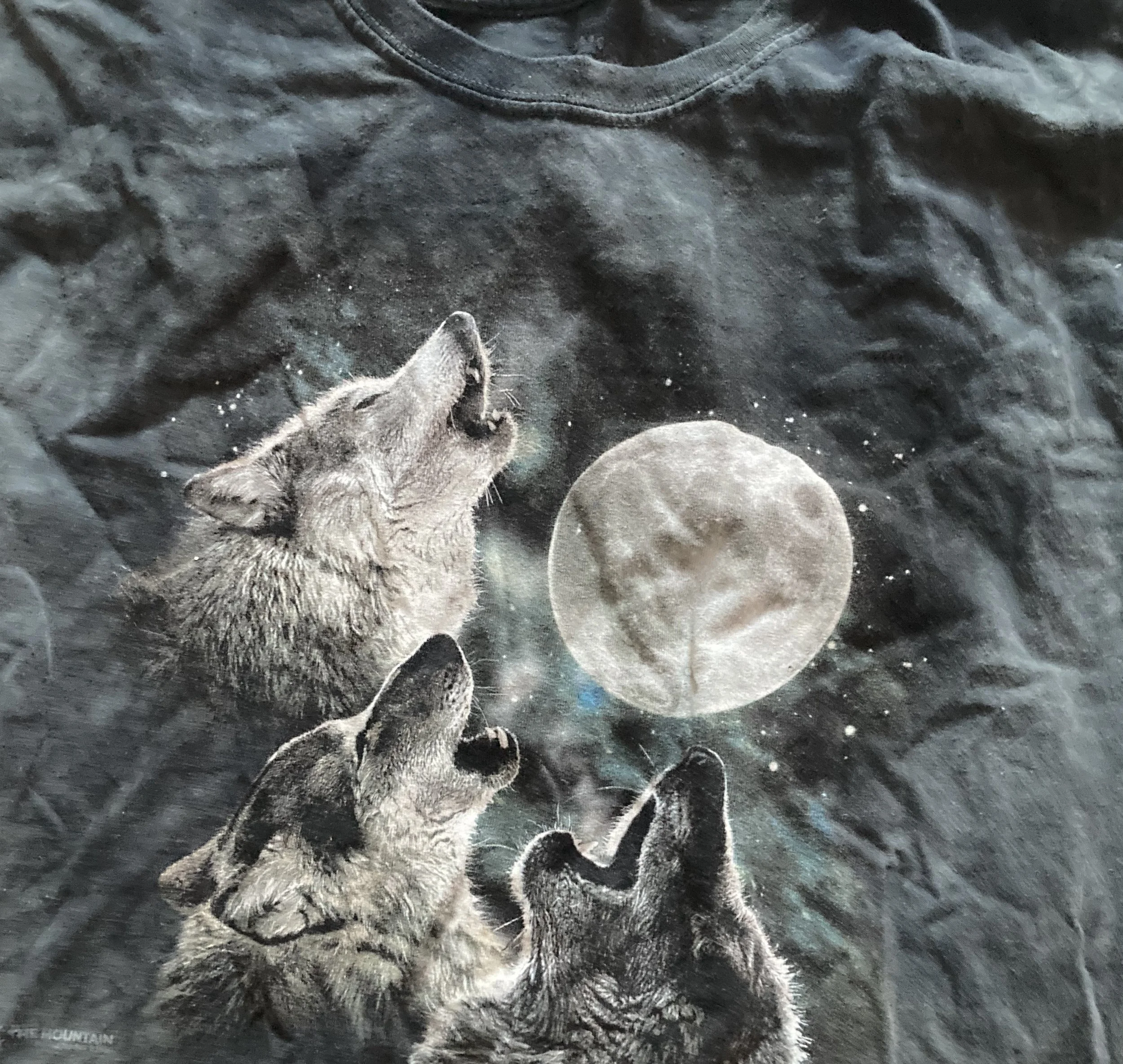 3 GAS STATION WOLVES & THE MOON