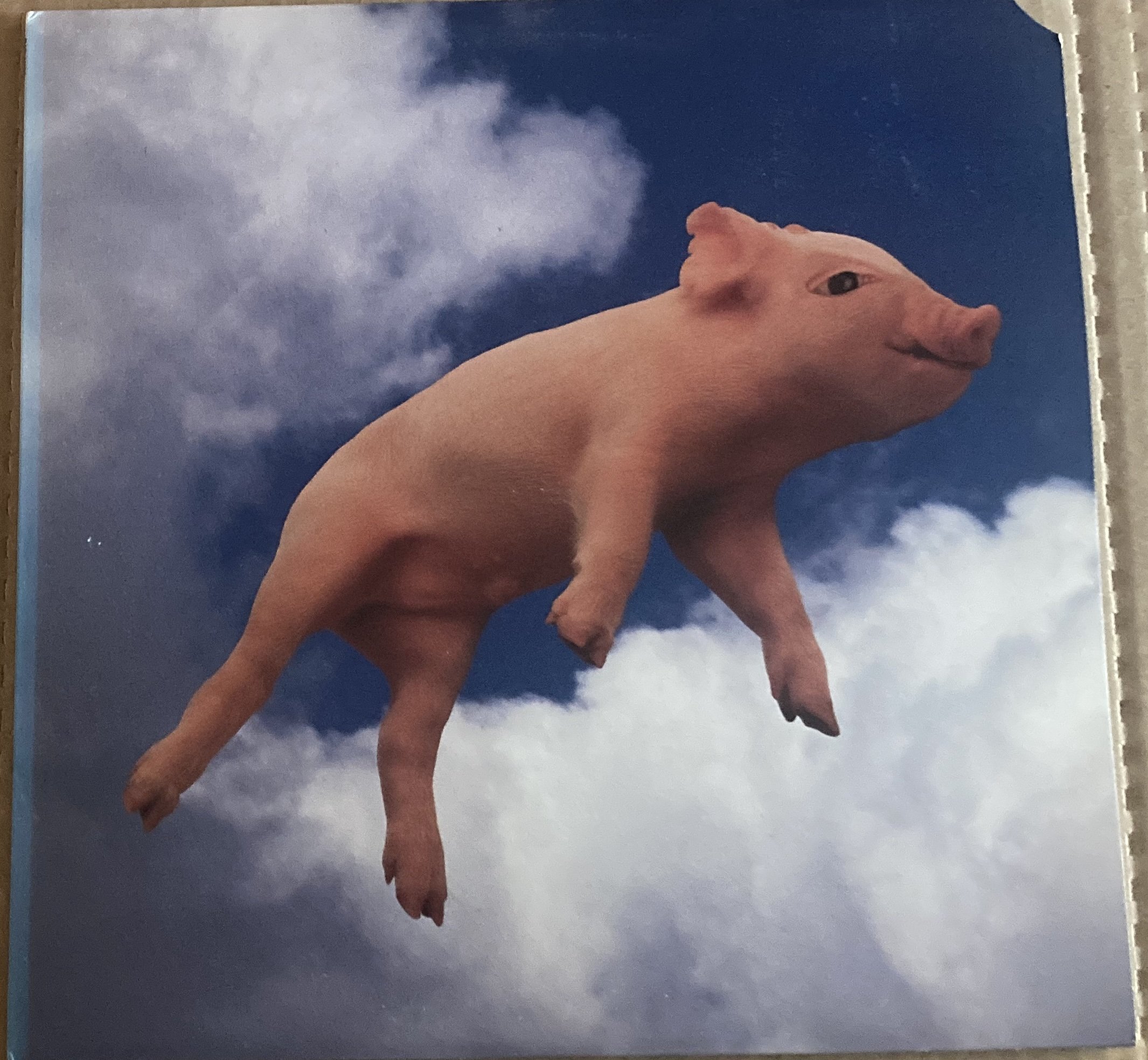 didjits que sirhan.jpg