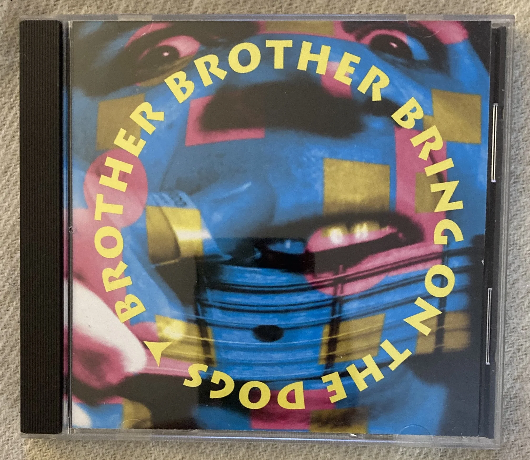 brother brother dogs.jpg