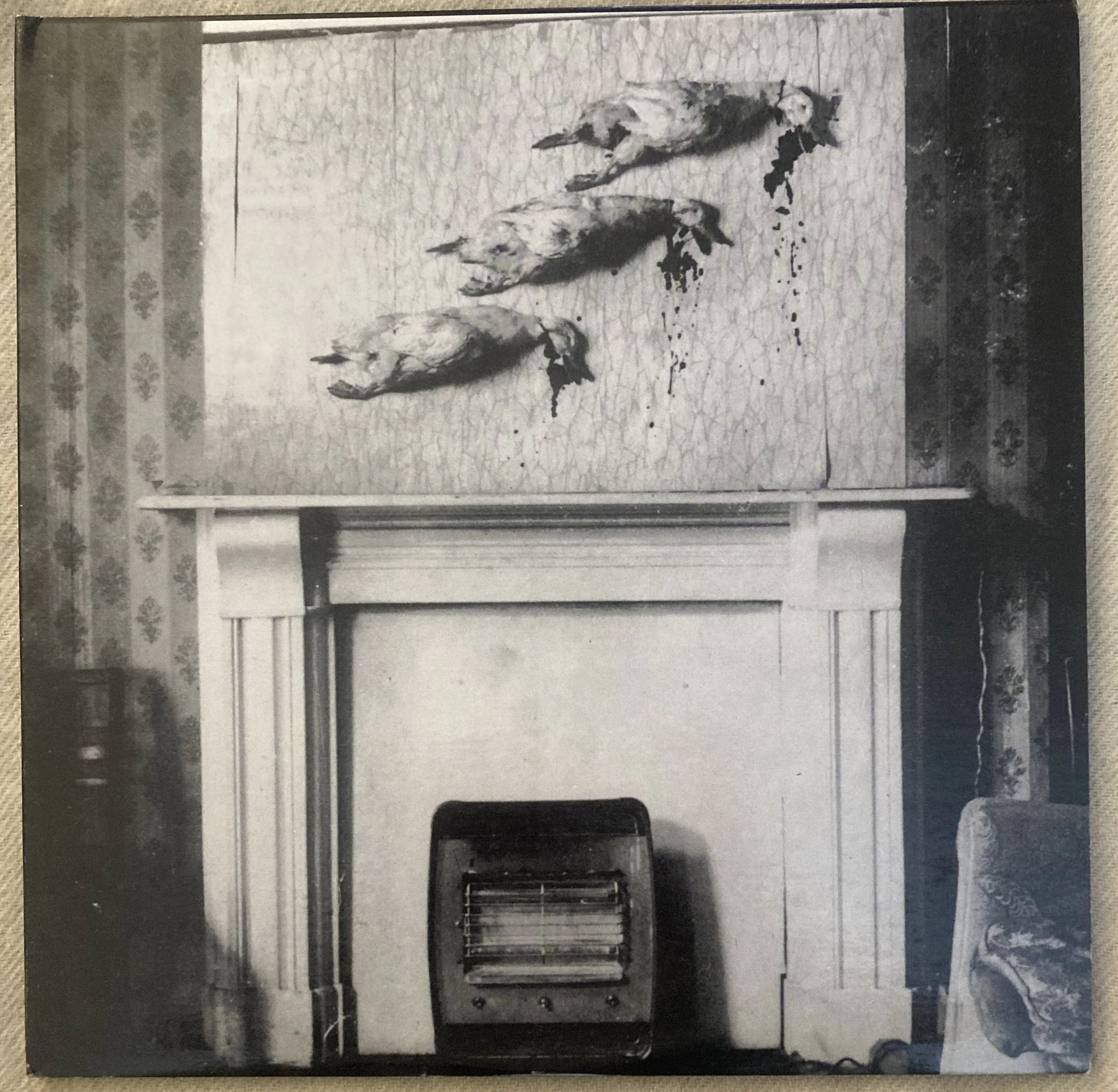 va hey drag city.jpg