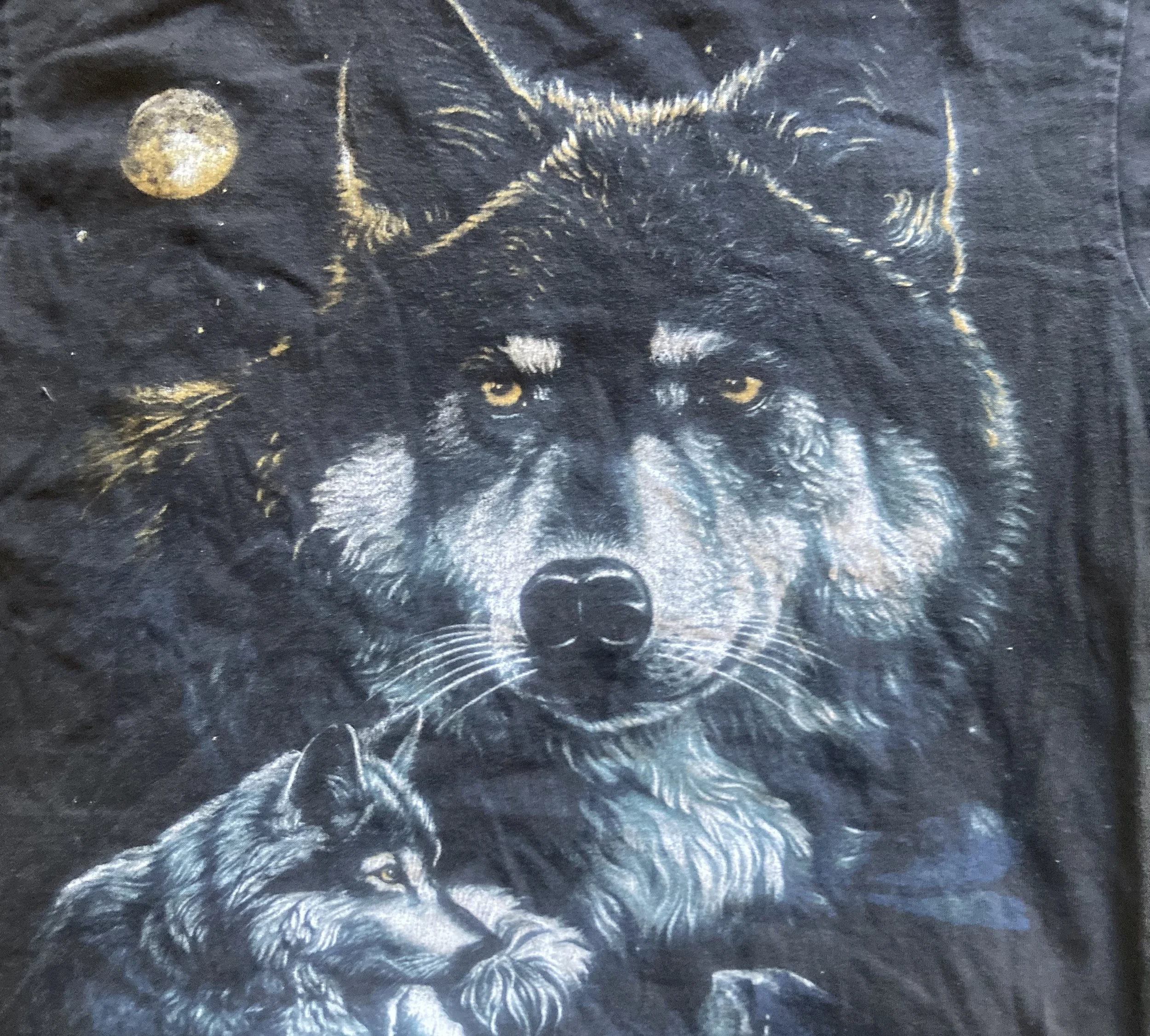 gas statioon wolves.jpg