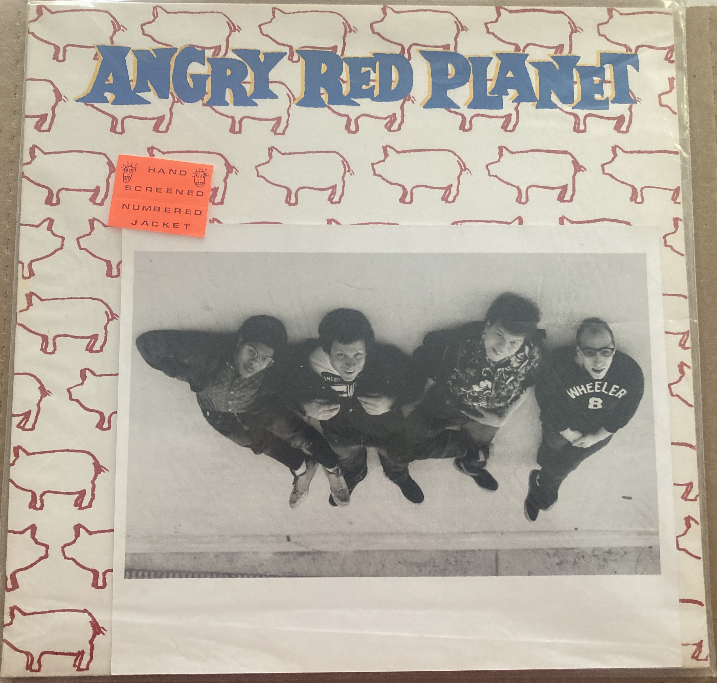 angry red planet pigs.jpg