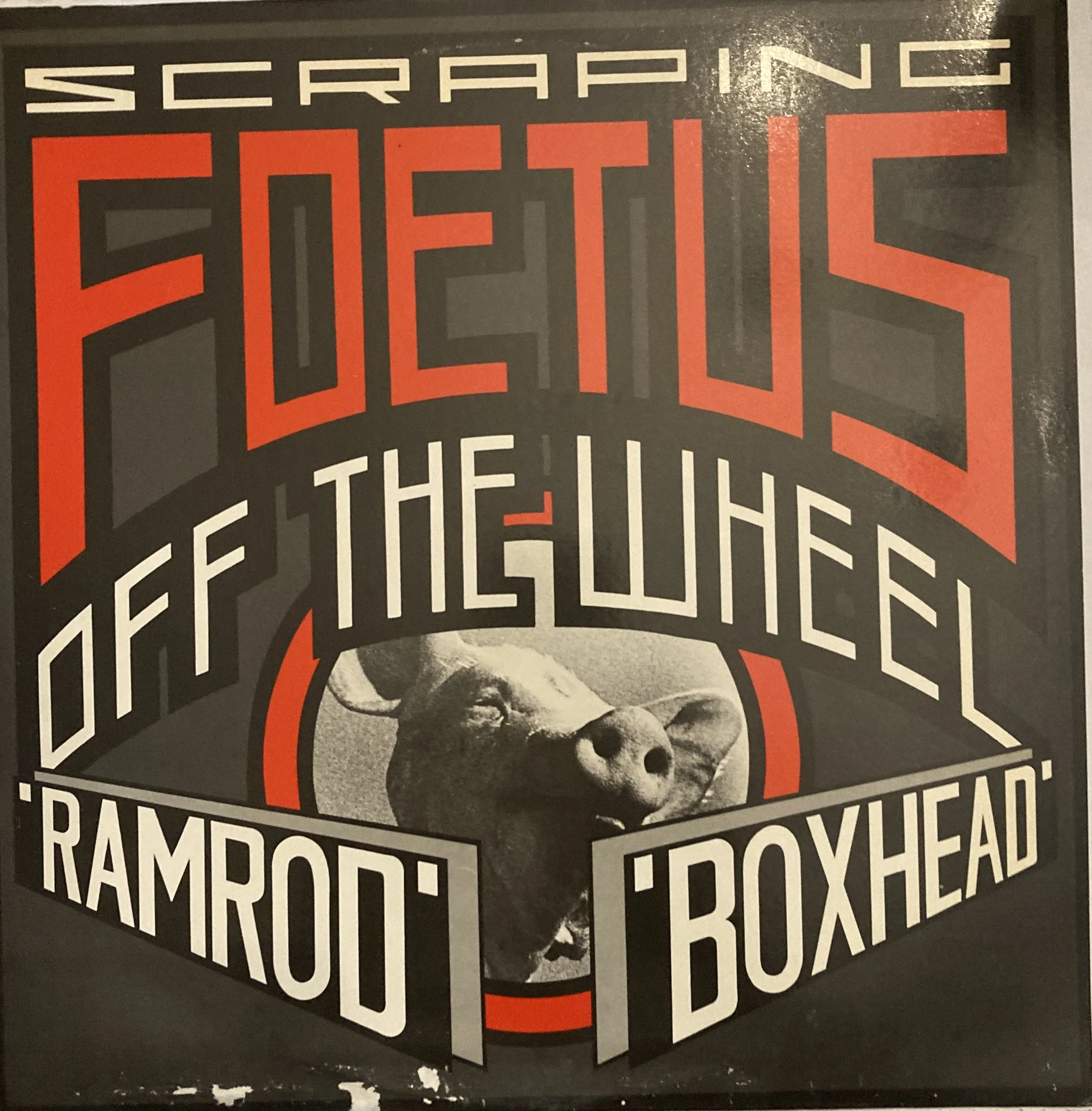 scraping fowetus ramrod.jpg
