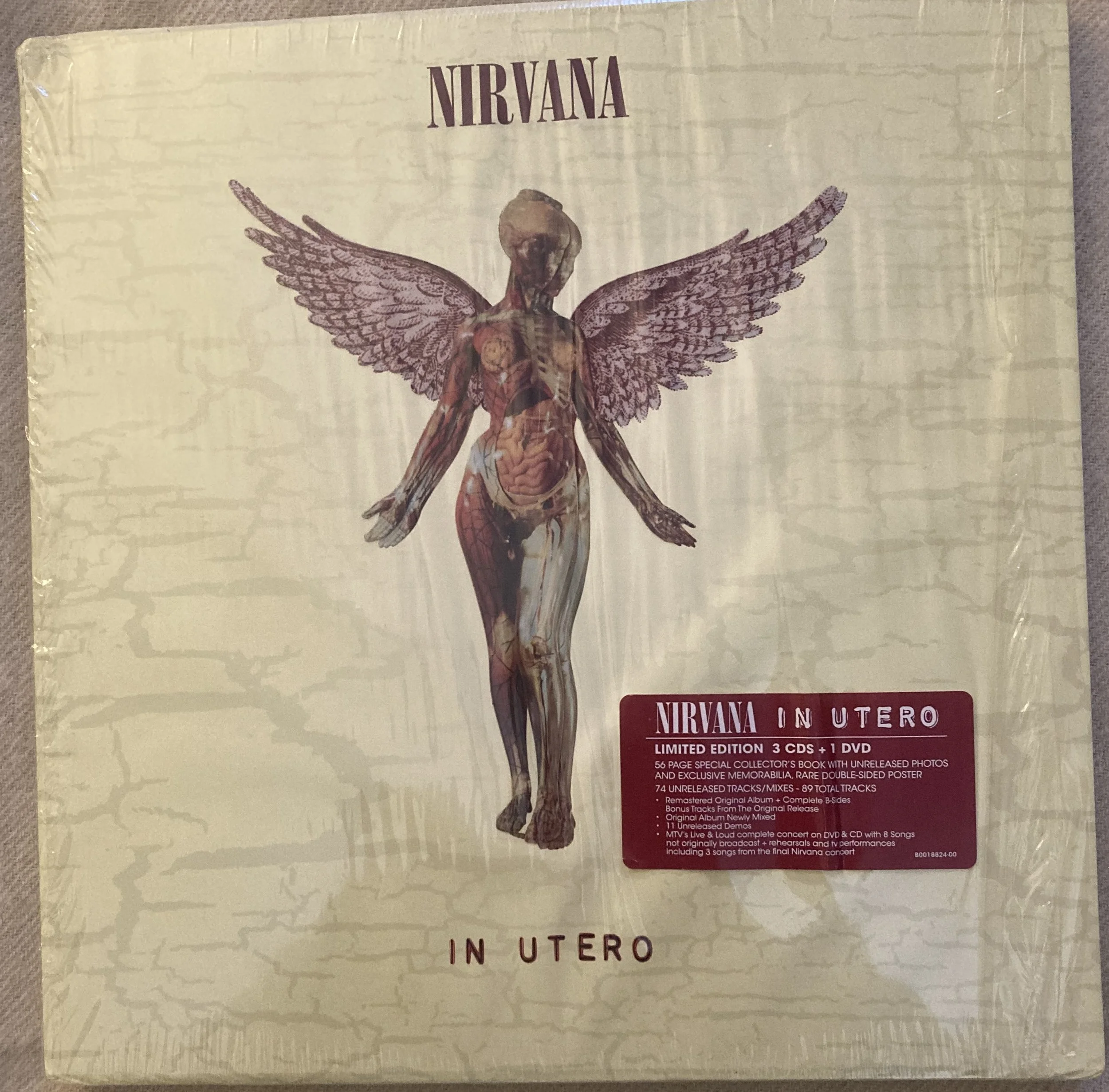 nirvana in utero box.jpg