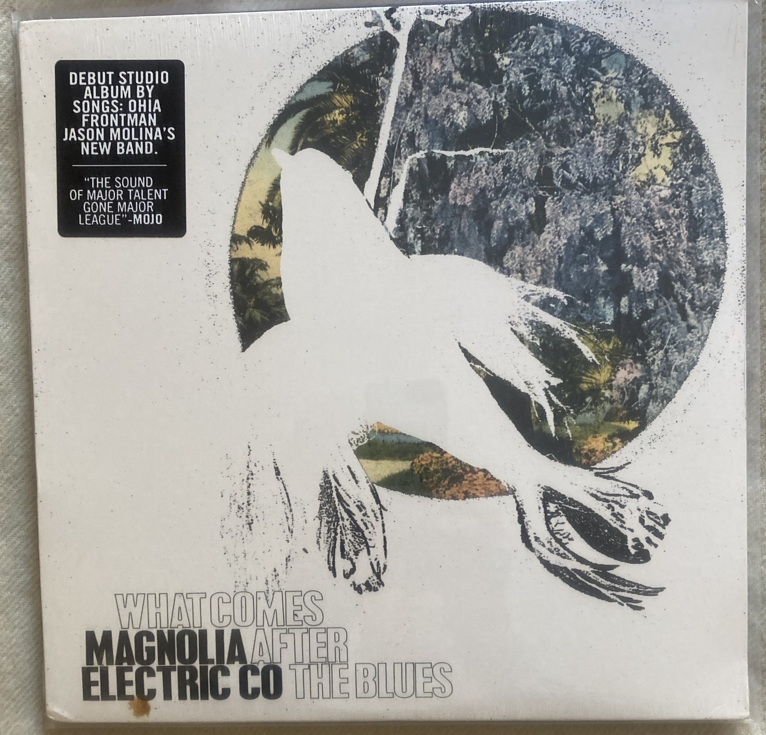 magnolia electric what comes.jpg