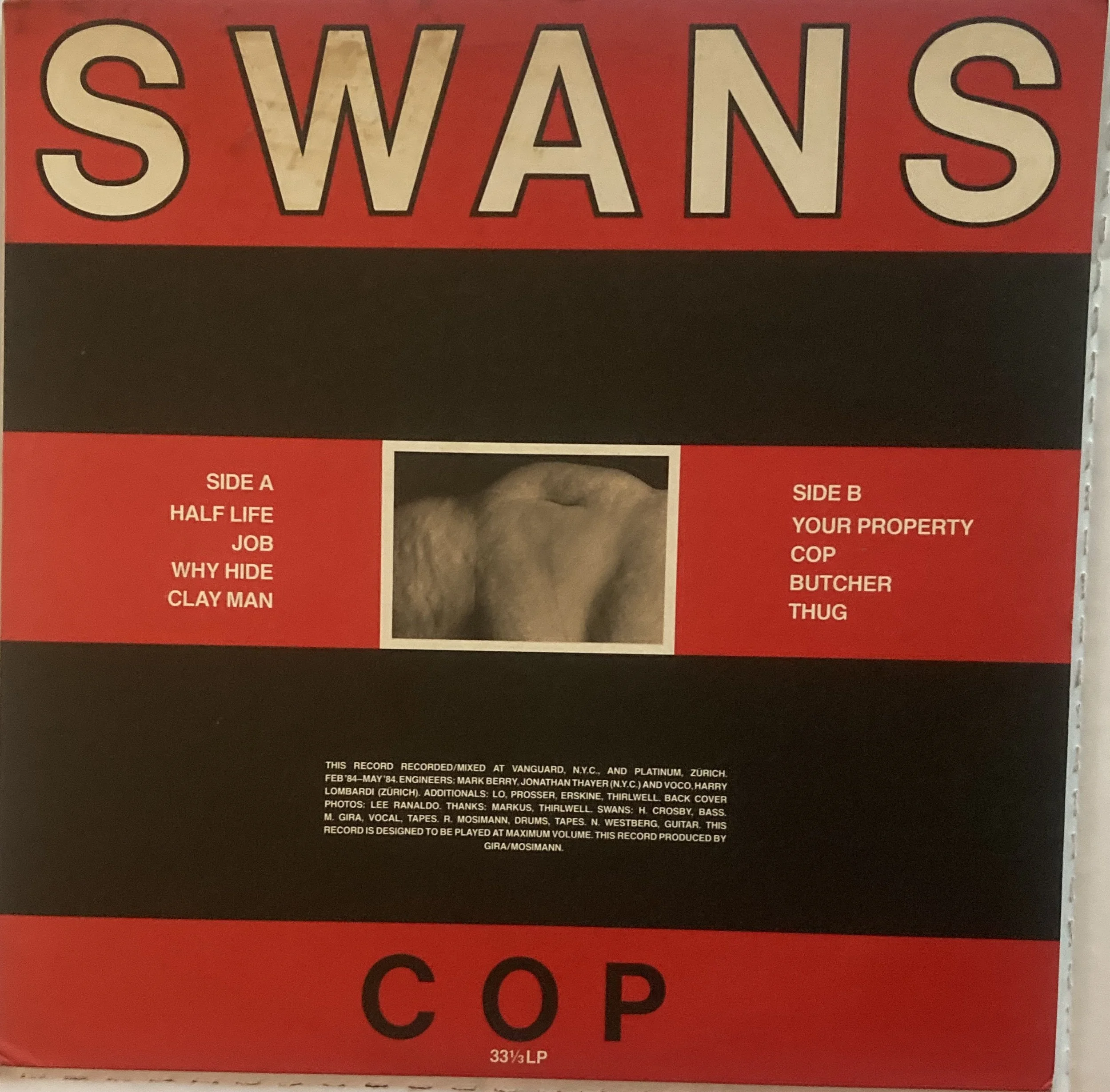 swans cop.jpg