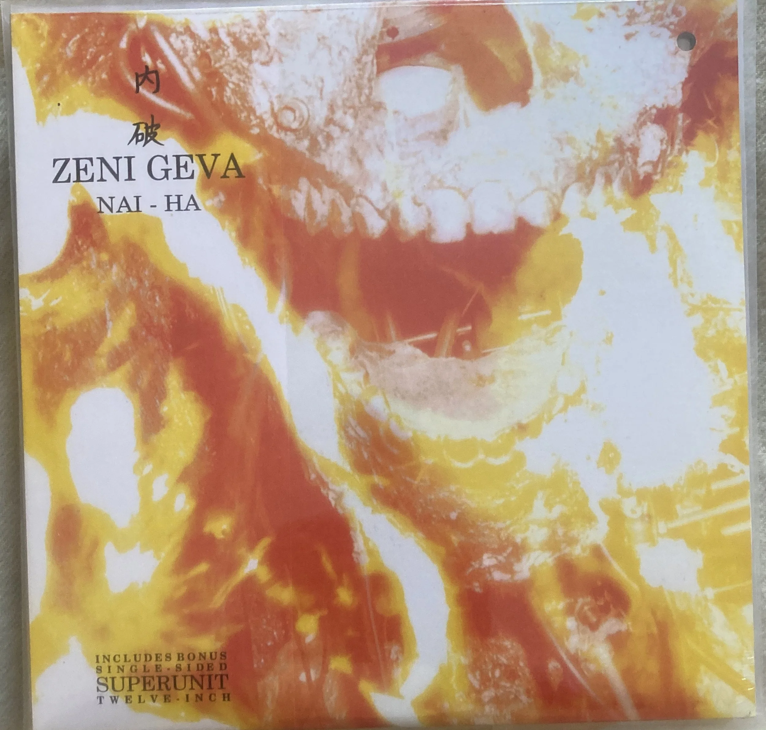 zena geva nai hi.jpg