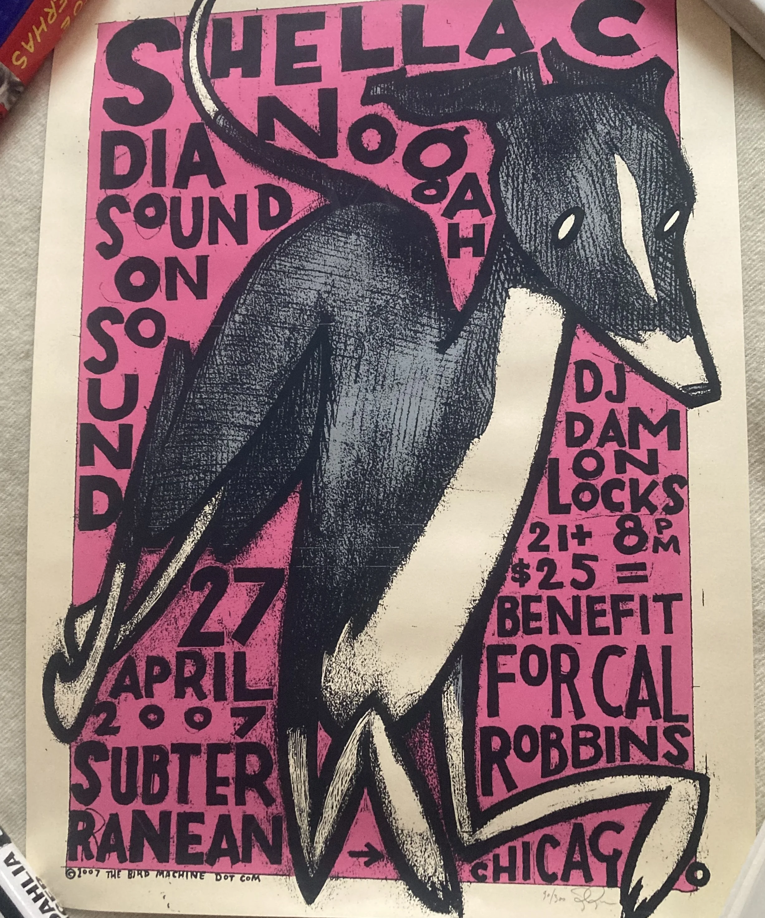 shellac dinagogh.jpg