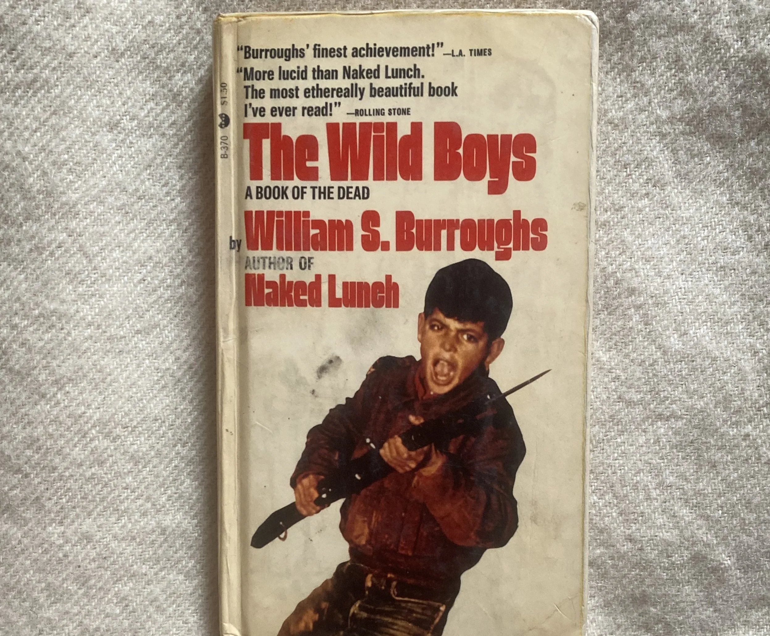 burroughds wild boys.jpg