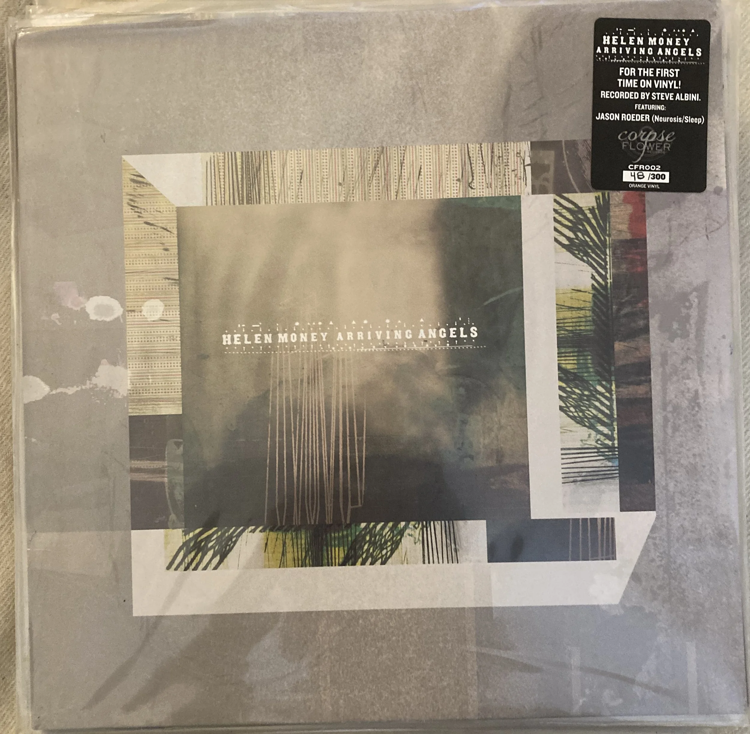 HELEN MONEY ARRIVING.jpg