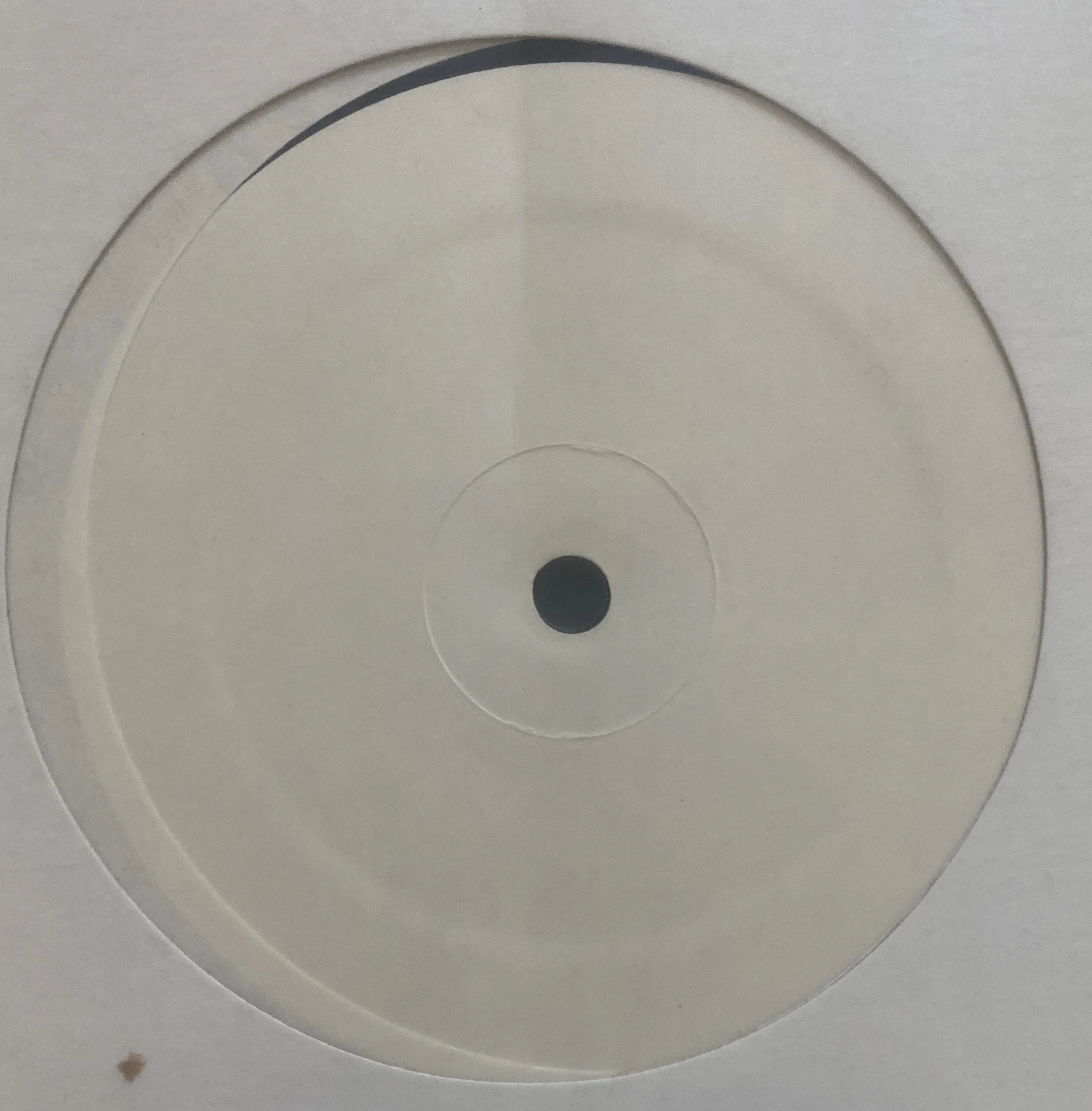 buttholes locust test.jpg