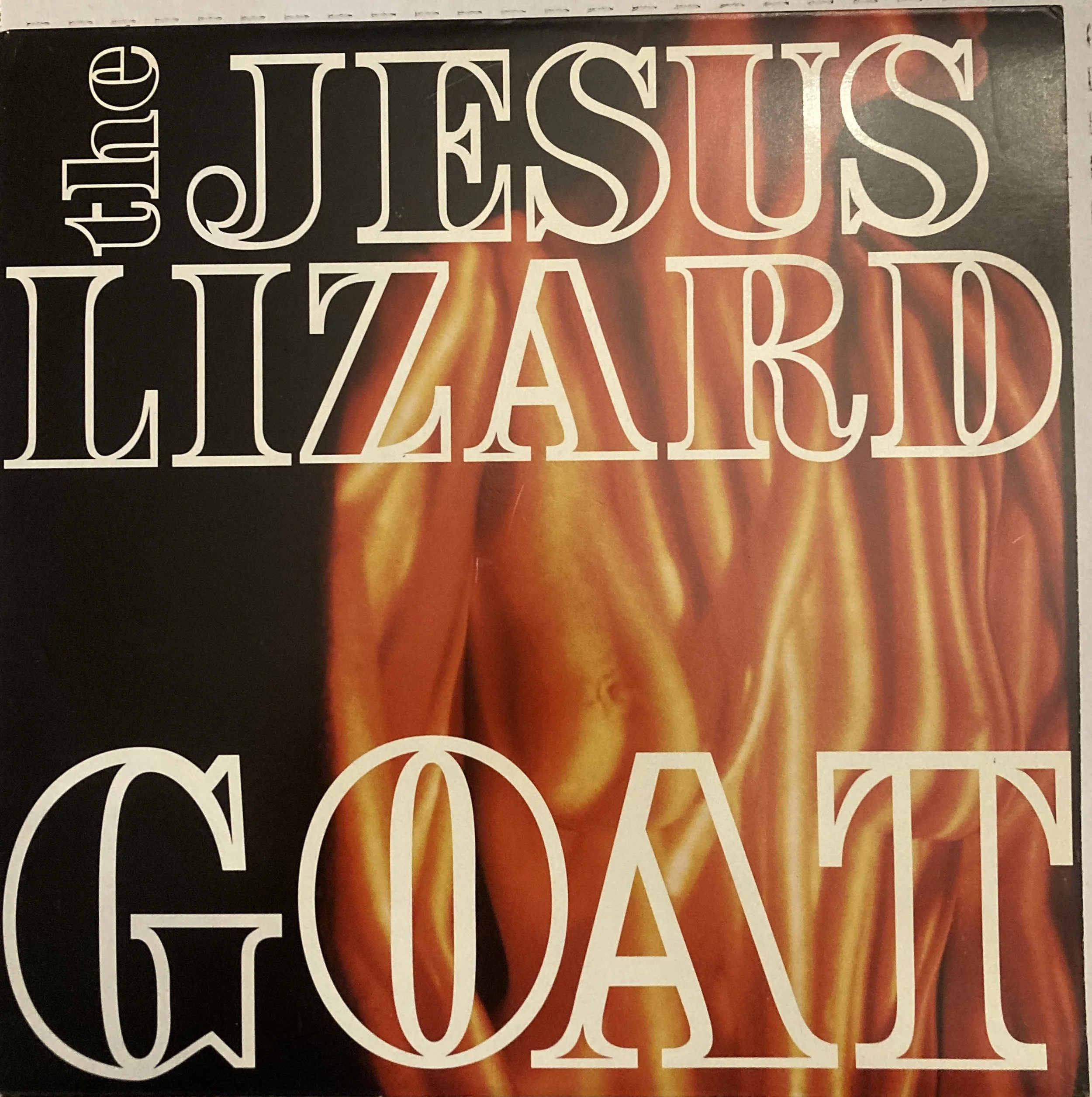 the jesus goat.jpg