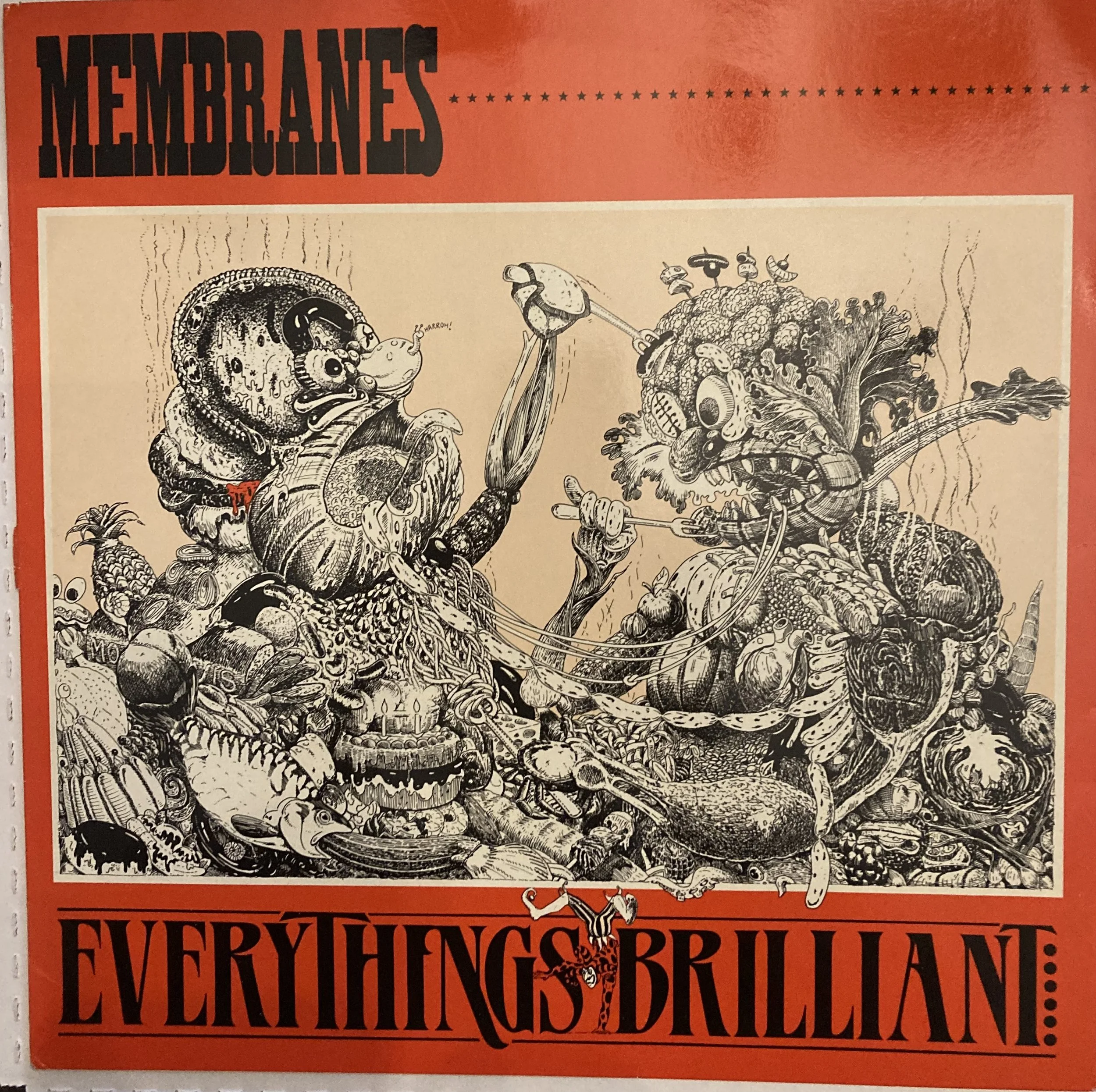 membranes eveything.jpg