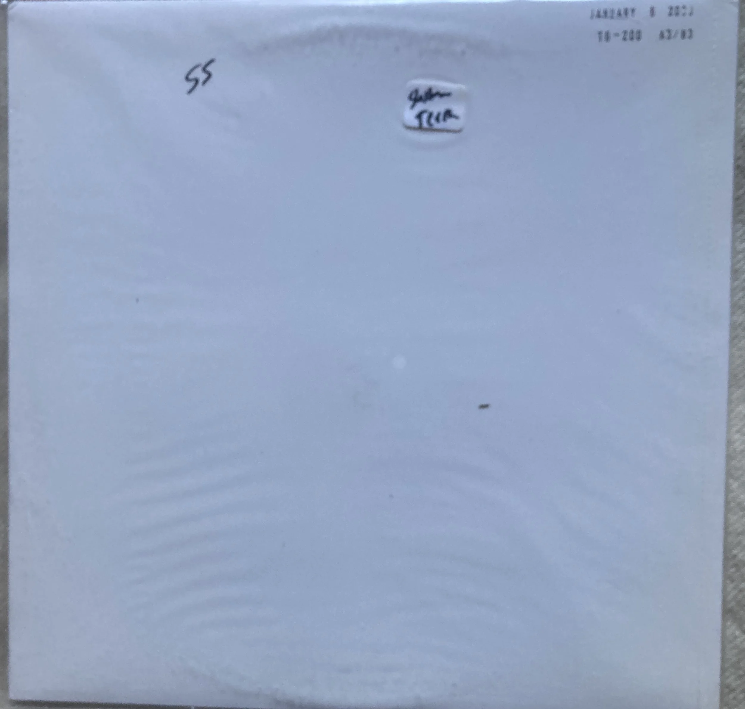 SHELLAC TERRA TEST.jpg