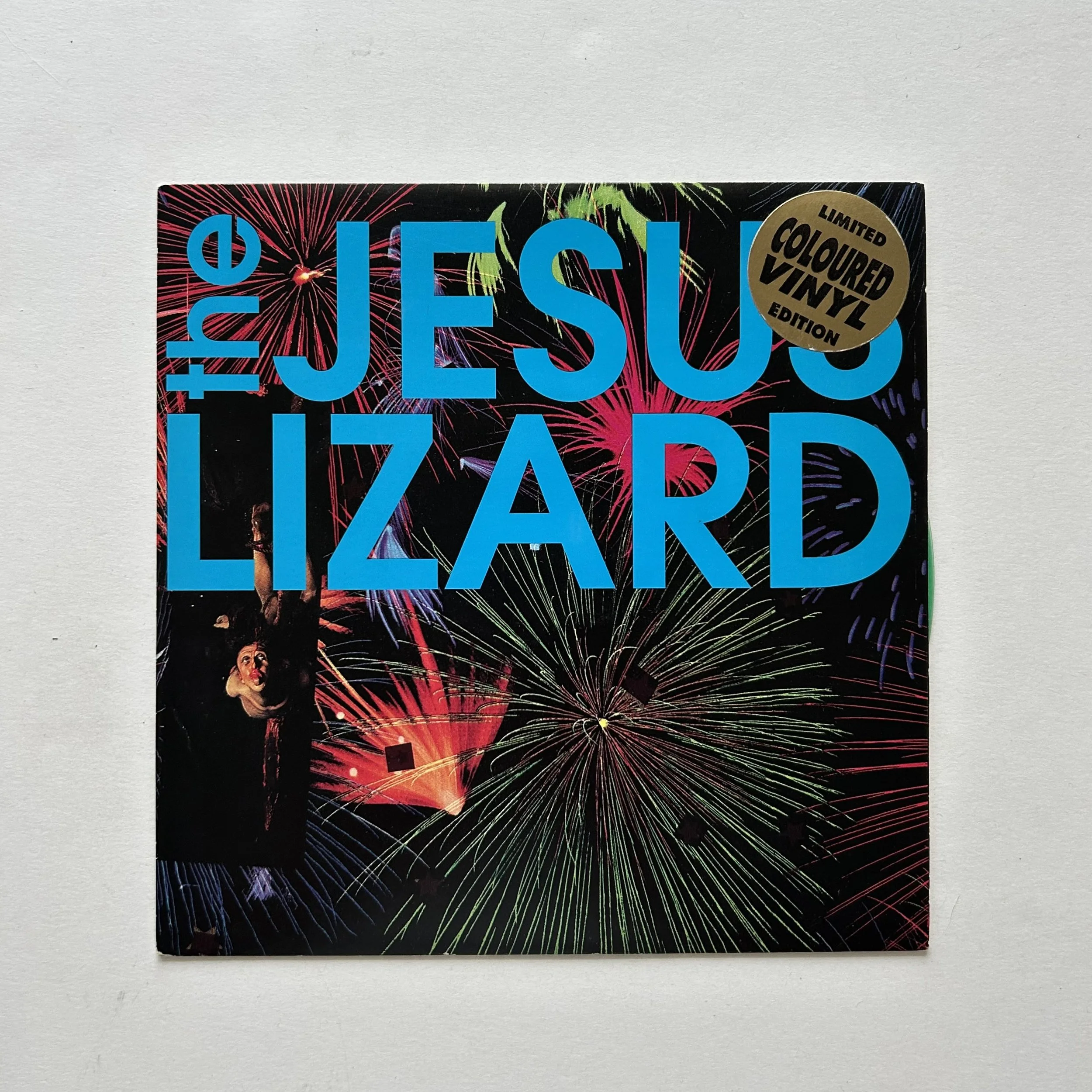 Jesus Lizard - fly on the wall.jpeg
